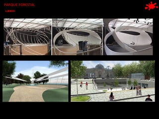 PARQUE FORESTAL LÚDICO 