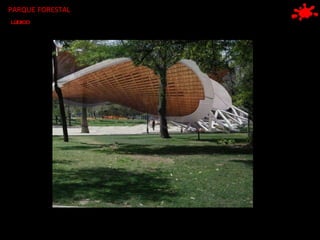 PARQUE FORESTAL LÚDICO 