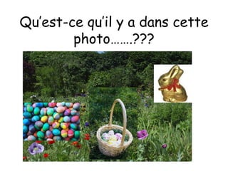 Qu’est-ce qu’il y a dans cette photo…….??? 
