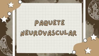 Paquete
Paquete
Neurovascular
Neurovascular
 