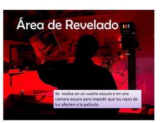 Área de Revelado

Se realiza en un cuarto oscuro o en una
cámara oscura para impedir que los rayos de
luz afecten a la película.

 