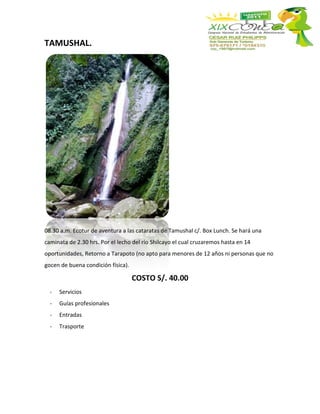 TAMUSHAL.




08.30 a.m. Ecotur de aventura a las cataratas de Tamushal c/. Box Lunch. Se hará una
caminata de 2.30 hrs. Por el lecho del río Shilcayo el cual cruzaremos hasta en 14
oportunidades, Retorno a Tarapoto (no apto para menores de 12 años ni personas que no
gocen de buena condición física).

                                    COSTO S/. 40.00
  -   Servicios
  -   Guías profesionales
  -   Entradas
  -   Trasporte
 
