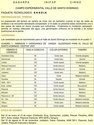 S A G A R P A  I N I F A P  C I R N O CAMPO EXPERIMENTAL VALLE DE SANTO DOMINGO PAQUETE TECNOLOGICO:  S A N D I A   PREPARACION DEL TERRENO La preparación del terreno en sandía se inicia con un barbecho cuando el tipo de suelo es arcillosa o se encuentra demasiado compactado; sí el suelo no presenta estas condiciones uno o dos pasos de rastra en forma cruzada son suficientes.  Finalmente la nivelación apropiada  permite un manejo adecuado del agua, una germinación uniforme de la semilla y se evitan pudriciones de la planta . VARIEDADES Las variedades que se recomiendan para el Valle de Santo Domingo se muestran en el cuadro 1 CUADRO 1.- HIBRIDOS Y VARIEDADES DE  SANDIA  SUGERIDAS PARA EL VALLE DE SANTO DOMINGO. CESTOD. 2001. EPOCA DE SIEMBRA Del 15 de enero al 15 de mayo: Charleston Gray, Garrisonian, Jubilee, Peacok, Paradise, HMX 5911, Early Jubilee, Peacock Improved, XPH 5078 y Sangría.  Del 15 de agosto al 15 de noviembre: Jubilation, Oasis, Paradise, HMX 5911, Peacock, Early Jubilee, Peacock Improved y Sangría. HÍBRIDO O VARIEDAD DIAS A COSECHA COLOR EXTERNO TAMAÑO Charleston Gray 90 Verde claro Grande alargada Garrisonian 95 Verde claro Grande Jubilee 100 Verde rayado Grande alargada Peacock Improved 90 Verde obscuro Mediano XPH – 5078 90 Verde obscuro Grande Jubilation 100 Verde claro Mediano Oasis 85 Verde Mediano redonda Paradise 85 Rayado Grande HMX – 5911 90 Verde rayado Mediano Early  Jubilee 100 Verde rayado Muy grande Peacock  90 Verde obscuro Mediano  Allsweet 95 Verde claroo Mediano Peacock wr - 60 105 Verde obscuro Mediano Pic – Nic 100 Verde obscuro Mediano redonda Tiffany 90 Verde claro Mediano redonda Sangría 90 Verde rayado Mediano redonda 