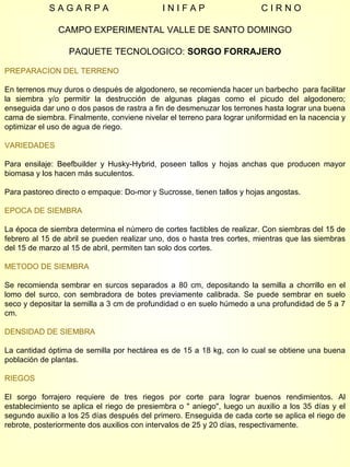 S A G A R P A  I N I F A P  C I R N O CAMPO EXPERIMENTAL VALLE DE SANTO DOMINGO PAQUETE TECNOLOGICO:  SORGO FORRAJERO PREPARACION DEL TERRENO En terrenos muy duros o después de algodonero, se recomienda hacer un barbecho  para facilitar la siembra y/o permitir la destrucción de algunas plagas como el picudo del algodonero; enseguida dar uno o dos pasos de rastra a fin de desmenuzar los terrones hasta lograr una buena cama de siembra. Finalmente, conviene nivelar el terreno para lograr uniformidad en la nacencia y optimizar el uso de agua de riego. VARIEDADES Para ensilaje: Beefbuilder y Husky-Hybrid, poseen tallos y hojas anchas que producen mayor biomasa y los hacen más suculentos.  Para pastoreo directo o empaque: Do-mor y Sucrosse, tienen tallos y hojas angostas. EPOCA DE SIEMBRA La época de siembra determina el número de cortes factibles de realizar. Con siembras del 15 de febrero al 15 de abril se pueden realizar uno, dos o hasta tres cortes, mientras que las siembras del 15 de marzo al 15 de abril, permiten tan solo dos cortes. METODO DE SIEMBRA Se recomienda sembrar en surcos separados a 80 cm, depositando la semilla a chorrillo en el lomo del surco, con sembradora de botes previamente calibrada. Se puede sembrar en suelo seco y depositar la semilla a 3 cm de profundidad o en suelo húmedo a una profundidad de 5 a 7 cm. DENSIDAD DE SIEMBRA La cantidad óptima de semilla por hectárea es de 15 a 18 kg, con lo cual se obtiene una buena población de plantas. RIEGOS El sorgo forrajero requiere de tres riegos por corte para lograr buenos rendimientos. Al establecimiento se aplica el riego de presiembra o " aniego", luego un auxilio a los 35 días y el segundo auxilio a los 25 días después del primero. Enseguida de cada corte se aplica el riego de rebrote, posteriormente dos auxilios con intervalos de 25 y 20 días, respectivamente. 