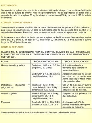 FERTILIZACION Se recomienda aplicar al momento de la siembra 160 kg de nitrógeno por hectárea (348 kg de urea o 780 de sulfato de amonio) más 40 kg de fósforo (187 kg de superfosfato de calcio triple); después de cada corte aplicar 60 kg de nitrógeno por hectárea (130 kg de urea ó 293 de sulfato de amonio). COMBATE DE MALAS HIERBAS Se recomienda mantener al cultivo libre de malas hierbas durante los primeros 40 días del cultivo, para lo cual es conveniente dar un paso de cultivadora a los 20 días después de la siembra y 15 después de cada corte. En ambos casos las escardas serán previas al riego correspondiente. Sí la presencia de maleza es fuerte, se puede aplicar un herbicida específico para hoja ancha como el 2, 4-D amina 6, en dosis de 1.0 lt/ha o bien 2, 4-D amina 4, 1.5 lt/ha, cuando el cultivo tenga de 20 a 25 días de nacido. CONTROL DE PLAGAS CUADRO NO. 1. SUGERENCIAS PARA EL CONTROL QUIMICO DE LAS  PRINCIPALES  PLAGAS  QUE  INCIDEN  EN  EL  SORGO FORRAJERO EN EL VALLE DE SANTO DOMINGO. CESTOD. 2001. Se recomienda no aplicar insecticidas al menos 15 días antes del corte del forraje. PLAGA PRODUCTO Y DOSIS/HA EPOCA DE APLICACION Gusano trozador y saltarín Carbofuran 300 s.a., 3.0 kg; clorpirifos 2 %, 9.0 kg Aplicación en banda al momento de la siembra en suelos infestados. Carbofuran 5 % g, 20 a 25 kg; clorpirifos 480 ce, 1.0 lt Aplicación a la base del tallo al encontrar en promedio una planta trozada por metro lineal y larvas enterradas. Diabróticas, chapulines y pulga saltona Malation 84 % ce, 1.0 lt; carbarilo 80 ph, 1.0 a 1.5 kg; carbofuran 5 % g, 40 kg. Con un 15 % de daño y cultivo menor a 15 cm de altura con alta presencia de insectos. Gusano cogollero Metomil 90% ps, 0.4 a 0.6 kg; carbarilo 80% ph, 1.0 lt; clorpirifos 480 ce, 1.0 lt. Después de los primeros 40 días del cultivo. Pulgones Ometoato 93 % ls, 0.3 a 0.4 lt; diazinon 25 %ce, 1.0 a 1.5 lt. Al observar un 25 % de plantas infestadas y riesgo de presencia de fumagina. 