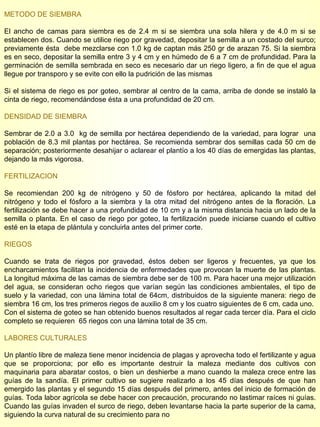 METODO DE SIEMBRA El ancho de camas para siembra es de 2.4 m si se siembra una sola hilera y de 4.0 m si se establecen dos. Cuando se utilice riego por gravedad, depositar la semilla a un costado del surco; previamente ésta  debe mezclarse con 1.0 kg de captan más 250 gr de arazan 75. Si la siembra es en seco, depositar la semilla entre 3 y 4 cm y en húmedo de 6 a 7 cm de profundidad. Para la germinación de semilla sembrada en seco es necesario dar un riego ligero, a fin de que el agua llegue por transporo y se evite con ello la pudrición de las mismas Si el sistema de riego es por goteo, sembrar al centro de la cama, arriba de donde se instaló la cinta de riego, recomendándose ésta a una profundidad de 20 cm. DENSIDAD DE SIEMBRA Sembrar de 2.0 a 3.0  kg de semilla por hectárea dependiendo de la variedad, para lograr  una población de 8.3 mil plantas por hectárea. Se recomienda sembrar dos semillas cada 50 cm de separación; posteriormente desahijar o aclarear el plantío a los 40 días de emergidas las plantas, dejando la más vigorosa. FERTILIZACION Se recomiendan 200 kg de nitrógeno y 50 de fósforo por hectárea, aplicando la mitad del nitrógeno y todo el fósforo a la siembra y la otra mitad del nitrógeno antes de la floración. La fertilización se debe hacer a una profundidad de 10 cm y a la misma distancia hacia un lado de la semilla o planta. En el caso de riego por goteo, la fertilización puede iniciarse cuando el cultivo esté en la etapa de plántula y concluirla antes del primer corte. RIEGOS Cuando se trata de riegos por gravedad, éstos deben ser ligeros y frecuentes, ya que los encharcamientos facilitan la incidencia de enfermedades que provocan la muerte de las plantas. La longitud máxima de las camas de siembra debe ser de 100 m. Para hacer una mejor utilización del agua, se consideran ocho riegos que varían según las condiciones ambientales, el tipo de suelo y la variedad, con una lámina total de 64cm, distribuidos de la siguiente manera: riego de siembra 16 cm, los tres primeros riegos de auxilio 8 cm y los cuatro siguientes de 6 cm, cada uno. Con el sistema de goteo se han obtenido buenos resultados al regar cada tercer día. Para el ciclo completo se requieren  65 riegos con una lámina total de 35 cm. LABORES CULTURALES Un plantío libre de maleza tiene menor incidencia de plagas y aprovecha todo el fertilizante y agua que se proporciona; por ello es importante destruir la maleza mediante dos cultivos con maquinaria para abaratar costos, o bien un deshierbe a mano cuando la maleza crece entre las guías de la sandía. El primer cultivo se sugiere realizarlo a los 45 días después de que han emergido las plantas y el segundo 15 días después del primero, antes del inicio de formación de guías. Toda labor agrícola se debe hacer con precaución, procurando no lastimar raíces ni guías. Cuando las guías invaden el surco de riego, deben levantarse hacia la parte superior de la cama, siguiendo la curva natural de su crecimiento para no  