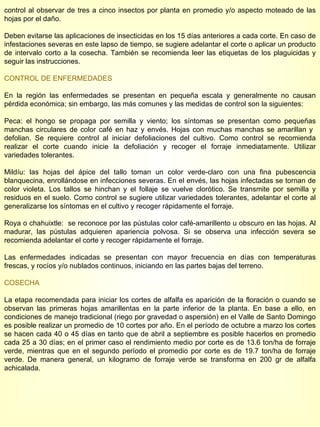 control al observar de tres a cinco insectos por planta en promedio y/o aspecto moteado de las hojas por el daño. Deben evitarse las aplicaciones de insecticidas en los 15 días anteriores a cada corte. En caso de infestaciones severas en este lapso de tiempo, se sugiere adelantar el corte o aplicar un producto de intervalo corto a la cosecha. También se recomienda leer las etiquetas de los plaguicidas y seguir las instrucciones. CONTROL DE ENFERMEDADES En la región las enfermedades se presentan en pequeña escala y generalmente no causan pérdida económica; sin embargo, las más comunes y las medidas de control son la siguientes: Peca: el hongo se propaga por semilla y viento; los síntomas se presentan como pequeñas manchas circulares de color café en haz y envés. Hojas con muchas manchas se amarillan y  defolian. Se requiere control al iniciar defoliaciones del cultivo. Como control se recomienda realizar el corte cuando inicie la defoliación y recoger el forraje inmediatamente. Utilizar variedades tolerantes. Mildíu: las hojas del ápice del tallo toman un color verde-claro con una fina pubescencia blanquecina, enrollándose en infecciones severas. En el envés, las hojas infectadas se tornan de color violeta. Los tallos se hinchan y el follaje se vuelve clorótico. Se transmite por semilla y residuos en el suelo. Como control se sugiere utilizar variedades tolerantes, adelantar el corte al generalizarse los síntomas en el cultivo y recoger rápidamente el forraje. Roya o chahuixtle:  se reconoce por las pústulas color café-amarillento u obscuro en las hojas. Al madurar, las pústulas adquieren apariencia polvosa. Si se observa una infección severa se recomienda adelantar el corte y recoger rápidamente el forraje. Las enfermedades indicadas se presentan con mayor frecuencia en días con temperaturas frescas, y rocíos y/o nublados continuos, iniciando en las partes bajas del terreno. COSECHA La etapa recomendada para iniciar los cortes de alfalfa es aparición de la floración o cuando se observan las primeras hojas amarillentas en la parte inferior de la planta. En base a ello, en condiciones de manejo tradicional (riego por gravedad o aspersión) en el Valle de Santo Domingo es posible realizar un promedio de 10 cortes por año. En el período de octubre a marzo los cortes se hacen cada 40 o 45 días en tanto que de abril a septiembre es posible hacerlos en promedio cada 25 a 30 días; en el primer caso el rendimiento medio por corte es de 13.6 ton/ha de forraje verde, mientras que en el segundo período el promedio por corte es de 19.7 ton/ha de forraje verde. De manera general, un kilogramo de forraje verde se transforma en 200 gr de alfalfa achicalada. 