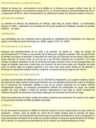 COLOCACION DE LA CINTA DE RIEGO Debido al tiempo de  permanencia de la alfalfa en el terreno, se sugiere utilizar cinta de 15 milésimas de espesor con emisores a cada 20 cm. La cinta se coloca a una profundidad de 20 cm y separación de 80 cm. Esta recomendación es válida para suelos con texturas medios o francos. METODO DE SIEMBRA La siembra se efectúa de preferencia en hileras, para esto se puede utilizar  la sembradora triguera ó “drilla”,  aplicando una densidad de 30 kg de semilla por hectárea; también es posible sembrar  “al voleo”.  VARIEDADES Las variedades que han mostrado buena respuesta en resultados de investigación con riego por goteo en el Valle de Santo Domingo son: 5888, Júpiter, CUF-101, 5939.  APLICACION DE LOS RIEGOS Después del establecimiento de la cinta y la siembra, se aplica un  riego de aniego de aproximadamente 15 horas a una presión de 15 libras por pulgada cuadrada. Una vez germinada la semilla, los riegos se efectúan a intervalos de ocho días con duración de tres horas cada sesión hasta alcanzar el primer corte, el cual se da a los 90 días después de la siembra. Con este manejo se aplican alrededor de 30 cm de lámina de riego al primer corte; en los subsiguientes, los riegos se realizan cada seis o siete días con duración de seis horas cada uno. Después de cada corte el primer riego se sugiere aplicarlo a los cinco días para evitar estrés en las plantas y favorecer el rebrote de manera normal y uniforme. La lámina anual de riego es de 140 cm. APLICACION DE LOS FERTILIZANTES La dosis recomendada de fertilización es de 100-80-00 unidades/ha y se sugiere hacerla a través del sistema de riego cuando inicia la germinación; así, las plántulas aprovechan mejor el nitrógeno por la presencia de raicecillas. Debido a que no es común encontrar en la región fuentes nitrogenadas líquidas, es necesario previamente disolver los fertilizantes en agua, los cuales pueden ser urea, sulfato o nitrato de amonio; seleccionar el que deje la menor cantidad de residuos después de disolverse pues éstos obstruyen los emisores de la cinta de riego Dada las condiciones de bajos niveles de materia orgánica que presentan los suelos en la región se recomienda sembrar semilla de alfalfa inoculada. COSECHA El uso del sistema de goteo en alfalfa no limita la cosecha con los implementos con que cuenta el productor ; incluso, ésta se facilita en virtud de no haber bordos para el manejo del agua. Conviene hacer la recomendación de preveer que al momento de efectuar el corte y empacado no haya demasiada humedad en el suelo que pudiera afectar la cinta por apisonamiento del tractor. Por lo demás, la cosecha se puede efectuar de la manera que tradicionalmente se hace. 