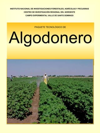 PAQUETE TECNOLÓGICO DE  Algodonero INSTITUTO NACIONAL DE INVESTIGACIONES FORESTALES, AGRÍCOLAS Y PECUARIAS CENTRO DE INVESTIGACIÓN REGIONAL DEL NOROESTE CAMPO EXPERIMENTAL VALLE DE SANTO DOMINGO 