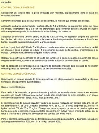 romperlas. CONTROL DE MALAS HIERBAS Seleccionar un terreno libre o poco infestado por malezas, especialmente para el caso de especies perennes.  Sembrar en húmedo para destruir antes de la siembra, la maleza que emerge con el riego. Aplicación en banda de bensulide ( prefar) 48% de 7.0 a 9.0 lt/ha, en presiembra antes del riego de aniego, incorporado de 3 a 5 cm de profundidad; para controlar zacates anuales se puede utilizar en preemergencia, inmediatamente antes del riego de nacencia. Aplicación de trifuralina ( tretox, otilan) 44.5% de 1.2 a 2.0 lt/ha, en aspersión dirigida a la base de las plantas del cultivo y preemergente a la maleza. La dosis puede disminuirse en aplicación en banda. Controla maleza de hoja ancha y angosta anual. Aplicar dcpa ( dacthal) 75% de 7 a 9 kg/ha en banda (esta dosis es aproximada; en banda de 60 cm el costo y dosis a utilizar se reduce) 4 a 5 semanas después de la siembra, preemergente a la maleza. Controla maleza de hoja angosta y ancha anual. Realizar dos cultivos mecánicos en el fondo del surco; en la cama se pueden realizar dos pasos de gallina o lillistone, todo esto en combinación con la aplicación de herbicidas en banda. Con la aplicación de herbicidas no se requiere de deshierbe manual, pero en caso de no utilizar control químico se necesitan un promedio de tres deshierbes manuales. CONTROL DE INSECTOS PLAGA Seleccionar un terreno alejado de áreas de cultivos con plagas comunes como alfalfa y algunas hortalizas, principalmente cucurbitáceas. Usar el control biológico. Para  reducir la presencia de gusano trozador y saltarín se recomienda no  sembrar en terrenos arenosos y/o donde anteriormente se han tenido altas incidencias de estos insectos, o en socas de cultivos hospederos ( sorgo, maíz, trigo, garbanzo., etc.) El control químico de gusano trozador y saltarín se sugiere realizarlo con carbaril cebo 2%, 60 kg/ha; carbofuran 5%, de 20 a 25 kg/ha; clorpirifos 48%, de 1.0  a 1.5 lt/ha; clorpirifos 2%, de 8 a 10 kg/ha; carbaril 5%, de 20 a 25 kg/ha. El segundo, tercero y quinto producto  se pueden aplicar en banda antes de la siembra, incorporándolos con rastra. En cultivo recién emergido aplicar por la tarde a la base de la plántulas, al observar una dañada por metro lineal. Para el control de plagas de inicio de temporada como grillo, pulga saltona y diabrótica, se sugiere aplicar gusation metílico 50%, de 1.0  a 1.5 kg; carbaril 80%,  
