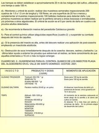 Las trampas se deben establecer a aproximadamente 20 m de los márgenes del cultivo, utilizando una trampa a cada 100 m. d).- Monitoreo y umbral de acción: realizar dos muestreos semanales inspeccionando 200 cuadros de 1.0 a 1.5 cm de longitud y 100 flores, en una superficie de 20 ha o menos y complementar el muestreo inspeccionando 100 bellotas medianas para detectar daño. Los primeros muestreos se deben realizar por la periferia cercana a áreas boscosas o enmalezadas, y/o próximas a otros algodonales. El umbral de acción es el 5 por ciento de daño en cuadro o de picudos adultos detectados. e).- Se recomienda la liberación masiva del parasitoide  Catolaccus grandis  f).- Para el control químico utilizar plaguicidas específicos (cuadro 2)  y suspender su combate después del inicio de capullos. g).- Si la presencia del insecto es alta, antes del desvare realizar una aplicación de post-cosecha empleando un insecticida adulticida. h).- Destrucción de soca inmediatamente después de la cosecha: desvare, rastreo y barbecho. La  última labor ayuda a enterrar los picudos que sobreviven al rastreo, se tiene conocimiento de que aquellos enterrados a 15 cm o más no logran emerger. CUADRO NO. 2.- SUGERENCIAS PARA EL CONTROL QUIMICO DE LOS INSECTOS PLAGA DEL ALGODONERO EN EL VALLE DE SANTO DOMINGO.  CESTOD. 2001. I N S E C T O PRODUCTO Y DOSIS  (I.A/HA) MOMENTO DE APLICACIÓN GUSANO TROZADOR Tiodicarb 350-700  * gr SEMEVIN TS Acefate 480-800  * gr ORTHENE  TS Dosis para 100 kg de semilla Dosis para 100 kg de semilla GUSANO SALTARIN Paration metílico 50-60 gr. en polvo Al observar manchones de daño y/o presencia de larvas: cinco gusanos en 10 m de surco. TRIPS Aldicarb  900-1200 gr TEMIK Dimetoato 400-600 gr ROGOR Metamidofos 450-600 gr AGRESOR MONITOR TAMARON Metidatión  416-624 gr SUPRACID Al momento de la siembra colocando el temik abajo de la semilla o al cierre del cultivo en banda. Al detectar 15 o más trips por planta y síntomas de daño.  En la primera etapa de desarrollo del cultivo. 