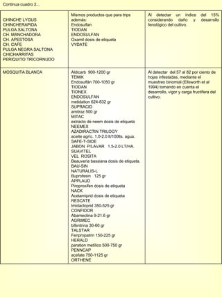 Continua cuadro 2... CHINCHE LYGUS CHINCHERAPIDA PULGA SALTONA CH. MANCHADORA CH. APESTOSA CH. CAFE  PULGA NEGRA SALTONA CHICHARRITAS PERIQUITO TRICORNUDO Mismos productos que para trips además:  Endosulfan  TIODAN ENDOSULFAN Oxamil dosis de etiqueta  VYDATE Al detectar un índice del 15% considerando daño y desarrollo fenológico del cultivo. MOSQUITA BLANCA Aldicarb  900-1200 gr TEMIK Endosulfán 700-1050 gr TIODAN TIONEX ENDOSULFAN metidation 624-832 gr SUPRACID amitraz 500 gr MITAC extracto de neem dosis de etiqueta NEEMEX  AZADIRACTIN TRILOGY aceite agríc. 1.0-2.0 lt/100lts. agua.  SAFE-T-SIDE JABON  P/LAVAR  1.5-2.0 LT/HA. SUAVITEL VEL  ROSITA Beauveria bassiana dosis de etiqueta. BAU-SIN NATURALIS-L Buprofesin  125 gr APPLAUD Piroproxifen dosis de etiqueta NACK  Acetamiprid dosis de etiqueta RESCATE Imidacloprid 350-525 gr CONFIDOR Abamectina 9-21.6 gr AGRIMEC bifentrina 30-60 gr TALSTAR Fenpropatrin 150-225 gr HERALD paration metílico 500-750 gr PENNCAP acefate 750-1125 gr ORTHENE Al detectar  del 57 al 82 por ciento de hojas infestadas, mediante el muestreo binomial (Ellsworth et al 1994) tomando en cuenta el desarrollo, vigor y carga fructífera del cultivo. 