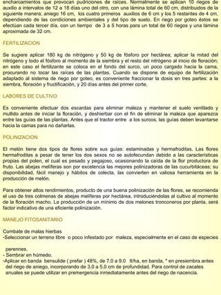 encharcamientos que provocan pudriciones de raíces. Normalmente se aplican 10 riegos de auxilio a intervalos de 12 a 18 días uno del otro, con una lámina total de 60 cm, distribuidos de la siguiente manera; aniego 16 cm,  los cuatro primeros  auxilios de 6 cm y los 5 restantes de 4 cm, dependiendo de las condiciones ambientales y del tipo de suelo. En riego por goteo éstos se efectúan cada tercer día, con un tiempo  de 3 a 5 horas para un total de 60 riegos y una lámina aproximada de 32 cm. FERTILIZACION Se sugiere aplicar 180 kg de nitrógeno y 50 kg de fósforo por hectárea; aplicar la mitad del nitrógeno y todo el fósforo al momento de la siembra y el resto del nitrógeno al inicio de floración; en este caso el fertilizante se coloca en el fondo del surco, un poco cargado hacia la cama, procurando no tocar las raíces de las plantas. Cuando se dispone de equipo de fertilización adaptado al sistema de riego por goteo, es conveniente fraccionar la dosis en tres partes: a la siembra, floración y fructificación, y 20 días antes del primer corte. LABORES DE CULTIVO Es conveniente efectuar dos escardas para eliminar maleza y mantener el suelo ventilado y mullido antes de iniciar la floración, y deshierbar con el fin de eliminar la maleza que aparezca entre las guías de las plantas. Antes que el tractor entre  a los surcos, las guías deben levantarse hacia la camas para no dañarlas. POLINIZACION El melón tiene dos tipos de flores sobre sus guías: estaminadas y hermafroditas. Las flores hermafroditas a pesar de tener los dos sexos no se autofecundan debido a las características propias del polen, el cual es pesado y pegajoso, ocasionando la caída de la flor productora de fruto. Las abejas melíferas son por excelencia las mejores polinizadoras de las cucurbitáceas; su disponibilidad, fácil manejo y hábitos de colecta, las convierten en valiosa herramienta en la producción de melón. Para obtener altos rendimientos, producto de una buena polinización de las flores, se recomienda el uso de tres colmenas de abejas melíferas por hectárea, introduciéndolas al cultivo al momento de la floración macho. La producción de un mínimo de dos melones tronconeros por planta, será factor indicativo de una eficiente polinización. MANEJO FITOSANITARIO Combate de malas hierbas Seleccionar un terreno libre  o poco infestado por  maleza, especialmente en el caso de especies  perennes. - Sembrar en húmedo. Aplicar en banda  bensulide ( prefar ) 48%, de 7.0 a 9.0  lt/ha, en banda, * en presiembra antes  del riego de aniego, incorporando de 3.0 a 5.0 cm de profundidad. Para control de zacates  anuales se puede utilizar en premergencia inmediatamente antes del riego de nacencia. 