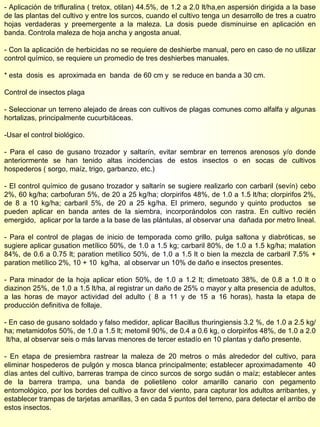 - Aplicación de trifluralina ( tretox, otilan) 44.5%, de 1.2 a 2.0 lt/ha,en aspersión dirigida a la base de las plantas del cultivo y entre los surcos, cuando el cultivo tenga un desarrollo de tres a cuatro hojas verdaderas y preemergente a la maleza. La dosis puede disminuirse en aplicación en banda. Controla maleza de hoja ancha y angosta anual. - Con la aplicación de herbicidas no se requiere de deshierbe manual, pero en caso de no utilizar control químico, se requiere un promedio de tres deshierbes manuales. * esta  dosis  es  aproximada en  banda  de 60 cm y  se reduce en banda a 30 cm. Control de insectos plaga - Seleccionar un terreno alejado de áreas con cultivos de plagas comunes como alfalfa y algunas hortalizas, principalmente cucurbitáceas. -Usar el control biológico. - Para el caso de gusano trozador y saltarín, evitar sembrar en terrenos arenosos y/o donde anteriormente se han tenido altas incidencias de estos insectos o en socas de cultivos hospederos ( sorgo, maíz, trigo, garbanzo, etc.) - El control químico de gusano trozador y saltarín se sugiere realizarlo con carbaril (sevín) cebo 2%, 60 kg/ha; carbofuran 5%, de 20 a 25 kg/ha; clorpirifos 48%, de 1.0 a 1.5 lt/ha; clorpirifos 2%, de 8 a 10 kg/ha; carbaril 5%, de 20 a 25 kg/ha. El primero, segundo y quinto productos  se pueden aplicar en banda antes de la siembra, incorporándolos con rastra. En cultivo recién emergido,  aplicar por la tarde a la base de las plántulas, al observar una  dañada por metro lineal. - Para el control de plagas de inicio de temporada como grillo, pulga saltona y diabróticas, se sugiere aplicar gusation metílico 50%, de 1.0 a 1.5 kg; carbaril 80%, de 1.0 a 1.5 kg/ha; malation 84%, de 0.6 a 0.75 lt; paration metílico 50%, de 1.0 a 1.5 lt o bien la mezcla de carbaril 7.5% + paration metílico 2%, 10 + 10  kg/ha,  al observar un 10% de daño e insectos presentes. - Para minador de la hoja aplicar etion 50%, de 1.0 a 1.2 lt; dimetoato 38%, de 0.8 a 1.0 lt o diazinon 25%, de 1.0 a 1.5 lt/ha, al registrar un daño de 25% o mayor y alta presencia de adultos, a las horas de mayor actividad del adulto ( 8 a 11 y de 15 a 16 horas), hasta la etapa de producción definitiva de follaje. - En caso de gusano soldado y falso medidor, aplicar Bacillus thuringiensis 3.2 %, de 1.0 a 2.5 kg/ha; metamidofos 50%, de 1.0 a 1.5 lt; metomil 90%, de 0.4 a 0.6 kg, o clorpirifos 48%, de 1.0 a 2.0  lt/ha, al observar seis o más larvas menores de tercer estadío en 10 plantas y daño presente. - En etapa de presiembra rastrear la maleza de 20 metros o más alrededor del cultivo, para eliminar hospederos de pulgón y mosca blanca principalmente; establecer aproximadamente  40 días antes del cultivo, barreras trampa de cinco surcos de sorgo sudán o maíz; establecer antes de la barrera trampa, una banda de polietileno color amarillo canario con pegamento entomológico, por los bordes del cultivo a favor del viento, para capturar los adultos arribantes, y establecer trampas de tarjetas amarillas, 3 en cada 5 puntos del terreno, para detectar el arribo de estos insectos. 