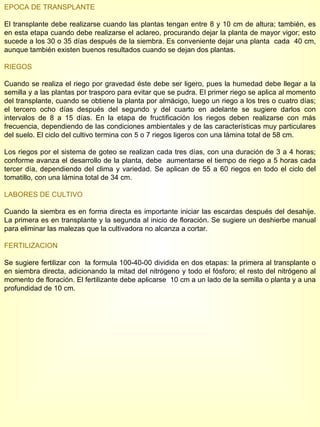 EPOCA DE TRANSPLANTE El transplante debe realizarse cuando las plantas tengan entre 8 y 10 cm de altura; también, es en esta etapa cuando debe realizarse el aclareo, procurando dejar la planta de mayor vigor; esto sucede a los 30 o 35 días después de la siembra. Es conveniente dejar una planta  cada  40 cm, aunque también existen buenos resultados cuando se dejan dos plantas. RIEGOS Cuando se realiza el riego por gravedad éste debe ser ligero, pues la humedad debe llegar a la semilla y a las plantas por trasporo para evitar que se pudra. El primer riego se aplica al momento del transplante, cuando se obtiene la planta por almácigo, luego un riego a los tres o cuatro días; el tercero ocho días después del segundo y del cuarto en adelante se sugiere darlos con intervalos de 8 a 15 días. En la etapa de fructificación los riegos deben realizarse con más frecuencia, dependiendo de las condiciones ambientales y de las características muy particulares del suelo. El ciclo del cultivo termina con 5 o 7 riegos ligeros con una lámina total de 58 cm. Los riegos por el sistema de goteo se realizan cada tres días, con una duración de 3 a 4 horas; conforme avanza el desarrollo de la planta, debe  aumentarse el tiempo de riego a 5 horas cada tercer día, dependiendo del clima y variedad. Se aplican de 55 a 60 riegos en todo el ciclo del tomatillo, con una lámina total de 34 cm. LABORES DE CULTIVO Cuando la siembra es en forma directa es importante iniciar las escardas después del desahije. La primera es en transplante y la segunda al inicio de floración. Se sugiere un deshierbe manual para eliminar las malezas que la cultivadora no alcanza a cortar. FERTILIZACION Se sugiere fertilizar con  la formula 100-40-00 dividida en dos etapas: la primera al transplante o en siembra directa, adicionando la mitad del nitrógeno y todo el fósforo; el resto del nitrógeno al momento de floración. El fertilizante debe aplicarse  10 cm a un lado de la semilla o planta y a una profundidad de 10 cm. 