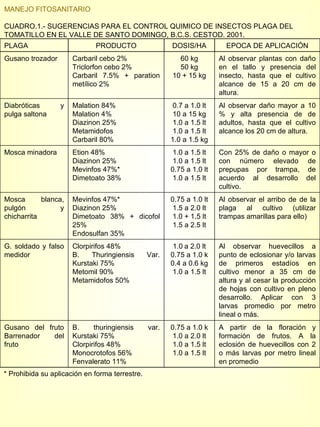 MANEJO FITOSANITARIO CUADRO.1.- SUGERENCIAS PARA EL CONTROL QUIMICO DE INSECTOS PLAGA DEL TOMATILLO EN EL VALLE DE SANTO DOMINGO, B.C.S. CESTOD. 2001. * Prohibida su aplicación en forma terrestre. PLAGA PRODUCTO DOSIS/HA EPOCA DE APLICACIÓN Gusano trozador Carbaril cebo 2% Triclorfon cebo 2% Carbaril 7.5% + paration metílico 2% 60 kg 50 kg 10 + 15 kg Al observar plantas con daño en el tallo y presencia del insecto, hasta que el cultivo alcance de 15 a 20 cm de altura.  Diabróticas y pulga saltona Malation 84% Malation 4% Diazinon 25% Metamidofos Carbaril 80% 0.7 a 1.0 lt 10 a 15 kg 1.0 a 1.5 lt 1.0 a 1.5 lt 1.0 a 1.5 kg Al observar daño mayor a 10 % y alta presencia de de adultos, hasta que el cultivo alcance los 20 cm de altura.  Mosca minadora Etion 48% Diazinon 25%  Mevinfos 47%* Dimetoato 38% 1.0 a 1.5 lt 1.0 a 1.5 lt 0.75 a 1.0 lt 1.0 a 1.5 lt Con 25% de daño o mayor o con número elevado de prepupas por trampa, de acuerdo al desarrollo del cultivo. Mosca blanca, pulgón y chicharrita Mevinfos 47%* Diazinon 25% Dimetoato 38% + dicofol 25% Endosulfan 35% 0.75 a 1.0 lt 1.5 a 2.0 lt 1.0 + 1.5 lt 1.5 a 2.5 lt Al observar el arribo de de la plaga al cultivo (utilizar trampas amarillas para ello) G. soldado y falso medidor Clorpirifos 48% B. Thuringiensis Var.  Kurstaki 75% Metomil 90% Metamidofos 50% 1.0 a 2.0 lt 0.75 a 1.0 k 0.4 a 0.6 kg 1.0 a 1.5 lt Al observar huevecillos a punto de eclosionar y/o larvas de primeros estadíos en cultivo menor a 35 cm de altura y al cesar la producción de hojas con cultivo en pleno desarrollo. Aplicar con 3 larvas promedio por metro lineal o más. Gusano del fruto Barrenador del fruto B. thuringiensis var.  Kurstaki 75% Clorpirifos 48% Monocrotofos 56% Fenvalerato 11% 0.75 a 1.0 k 1.0 a 2.0 lt 1.0 a 1.5 lt 1.0 a 1.5 lt A partir de la floración y formación de frutos. A la eclosión de huevecillos con 2 o más larvas por metro lineal en promedio 