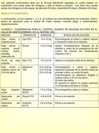 han obtenido rendimientos altos con la fórmula 200-50-50, aplicados en cuatro etapas: en presiembra una cuarta parte del nitrógeno y todo el fósforo y potasio . Las otras tres cuartas partes del nitrógeno en las etapas: de plántula (30 días), desarrollo (45 días), y floración (65 días). MANEJO FITOSANITARIO   A continuación, en los cuadros 1, 2 y 3, se enlistan las recomendaciones de productos, dosis y época de aplicación para el control de malas hierbas, insectos plaga, y enfermedades, respectivamente. CUADRO.1.- SUGERENCIAS PARA EL CONTROL QUIMICO DE MALEZAS EN PAPA EN EL VALLE DE SANTO DOMINGO, B.C.S. CESTOD. 2001. MALEZA PRODUCTO DOSIS/HA EPOCA DE APLICACIÓN Hoja ancha y angosta anual. Cpa 75% 10 a 12 kg Pre-emergente al cultivo y maleza. Aplicar e incorporar antes de la siembra. Hoja ancha y angosta anual; incluso malva, tomatillo, meloncillo etc. Diuron 1.0 a 3.0 kg Aplicar inmediatamente después de la siembra y antes de la emergencia de del cultivo. No hacerlo con temperaturas menores a 20 º  c. Anual de hoja angosta. Eptc 77% 5.0 a 6.0 lt Aplicar e incorporar antes de la siembra. Hoja ancha y angosta menor de 5 cm de altura. Metribuzin 70% 0.4 a 0.6 kg 0.3 a 0.5 kg 0.5 a 0.6 kg Pre-emergente a cultivo y maleza. Aplicación después de la siembra antes de emerger cultivo, en suelo húmedo.  Post-emergente en aplicación dirigida a maleza menor a 2.5 cm de altura. Al cierre del cultivo.  En general no aplicar en suelos arenosos ni a intervalos menores a 14 días. Hoja angosta, anual. Metolaclor 68.5% 1.5 a 3.0 kg Pre-emergente a cultivo y maleza. Desecante del cultivo. Diquat 31% 4.5 a 6.0 lt Previo a la cosecha. Desecante del cultivo. Ametrina 42.7% 2.0 a 4.0 kg Previo a la cosecha. 