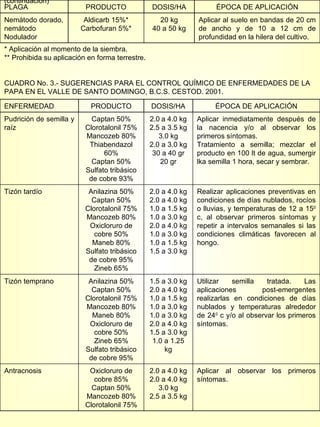 CUADRO No. 2 (continuación) * Aplicación al momento de la siembra. ** Prohibida su aplicación en forma terrestre. CUADRO No. 3.- SUGERENCIAS PARA EL CONTROL QUÍMICO DE ENFERMEDADES DE LA PAPA EN EL VALLE DE SANTO DOMINGO, B.C.S. CESTOD. 2001. PLAGA PRODUCTO DOSIS/HA ÉPOCA DE APLICACIÓN Nemátodo dorado, nemátodo Nodulador Aldicarb 15%* Carbofuran 5%* 20 kg 40 a 50 kg Aplicar al suelo en bandas de 20 cm de ancho y de 10 a 12 cm de profundidad en la hilera del cultivo. ENFERMEDAD PRODUCTO DOSIS/HA ÉPOCA DE APLICACIÓN Pudrición de semilla y raíz Captan 50% Clorotalonil 75% Mancozeb 80% Thiabendazol 60% Captan 50% Sulfato tribásico de cobre 93% 2.0 a 4.0 kg 2.5 a 3.5 kg 3.0 kg 2.0 a 3.0 kg 30 a 40 gr 20 gr Aplicar inmediatamente después de la nacencia y/o al observar los primeros síntomas. Tratamiento a semilla; mezclar el producto en 100 lt de agua, sumergir lka semilla 1 hora, secar y sembrar.  Tizón tardío Anilazina 50% Captan 50% Clorotalonil 75% Mancozeb 80% Oxicloruro de cobre 50% Maneb 80% Sulfato tribásico de cobre 95% Zineb 65% 2.0 a 4.0 kg 2.0 a 4.0 kg 1.0 a 1.5 kg 1.0 a 3.0 kg 2.0 a 4.0 kg 1.0 a 3.0 kg 1.0 a 1.5 kg 1.5 a 3.0 kg Realizar aplicaciones preventivas en condiciones de días nublados, rocíos o lluvias, y temperaturas de 12 a 15 0  c, al observar primeros síntomas y repetir a intervalos semanales si las condiciones climáticas favorecen al hongo. Tizón temprano Anilazina 50% Captan 50% Clorotalonil 75% Mancozeb 80% Maneb 80% Oxicloruro de cobre 50% Zineb 65% Sulfato tribásico de cobre 95% 1.5 a 3.0 kg 2.0 a 4.0 kg 1.0 a 1.5 kg 1.0 a 3.0 kg 1.0 a 3.0 kg 2.0 a 4.0 kg 1.5 a 3.0 kg 1.0 a 1.25 kg Utilizar semilla tratada. Las aplicaciones post-emergentes realizarlas en condiciones de días nublados y temperaturas alrededor de 24 0  c y/o al observar los primeros síntomas. Antracnosis  Oxicloruro de cobre 85% Captan 50% Mancozeb 80% Clorotalonil 75% 2.0 a 4.0 kg 2.0 a 4.0 kg 3.0 kg 2.5 a 3.5 kg Aplicar al observar los primeros síntomas. 