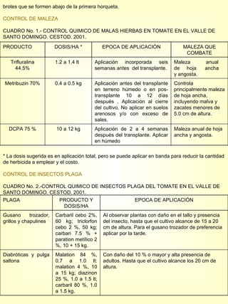 brotes que se formen abajo de la primera horqueta. CONTROL DE MALEZA CUADRO No. 1.- CONTROL QUIMICO DE MALAS HIERBAS EN TOMATE EN EL VALLE DE SANTO DOMINGO. CESTOD. 2001. * La dosis sugerida es en aplicación total, pero se puede aplicar en banda para reducir la cantidad de herbicida a emplear y el costo. CONTROL DE INSECTOS PLAGA CUADRO No. 2.-CONTROL QUIMICO DE INSECTOS PLAGA DEL TOMATE EN EL VALLE DE SANTO DOMINGO. CESTOD. 2001. PRODUCTO DOSIS/HA * EPOCA DE APLICACIÓN MALEZA QUE COMBATE Trifluralina 44.5% 1.2 a 1.4 lt  Aplicación incorporada seis semanas antes  del transplante. Maleza  anual de  hoja  ancha y angosta. Metribuzin 70% 0.4 a 0.5 kg Aplicación antes del transplante en terreno húmedo o en pos-transplante 10 a 12 días después . Aplicación al cierre del cultivo. No aplicar en suelos arenosos y/o con exceso de sales. Controla principalmente maleza de hoja ancha, incluyendo malva y zacates menores de 5.0 cm de altura. DCPA 75 % 10 a 12 kg Aplicación de 2 a 4 semanas después del transplante. Aplicar en húmedo Maleza anual de hoja ancha y angosta. PLAGA PRODUCTO Y DOSIS/HA EPOCA DE APLICACIÓN Gusano trozador, grillos y chapulines Carbaril cebo 2%, 60 kg; triclorfon cebo 2 %, 50 kg; carbari 7.5 % + paration metílico 2 %, 10 + 15 kg. Al observar plantas con daño en el tallo y presencia del insecto, hasta que el cultivo alcance de 15 a 20 cm de altura. Para el gusano trozador de preferencia aplicar por la tarde. Diabróticas y pulga saltona Malation 84 %, 0.7 a 1.0 lt: malation 4 %, 10 a 15 kg; diazinon 25 %, 1.0 a 1.5 lt; carbaril 80 %, 1.0 a 1.5 kg. Con daño del 10 % o mayor y alta presencia de adultos. Hasta que el cultivo alcance los 20 cm de altura. 