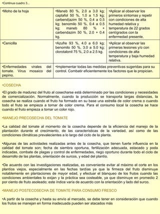 Continua cuadro 3... COSECHA El grado de madurez del fruto al cosecharse está determinado por las condiciones y necesidades de comercialización. Normalmente, cuando la producción se transporta largas distancias, la cosecha se realiza cuando el fruto ha formado en su base una estrella de color crema o cuando todo el fruto se empieza a tornar de color crema. Para el consumo local la cosecha se hace cuando el fruto empieza a tomar un color rojo. MANEJO PRECOSECHA DEL TOMATE La calidad del tomate al momento de la cosecha depende de la eficiencia del manejo de la plantación durante el crecimiento, de las características de la variedad, así como de las condiciones climáticas prevalecientes a lo largo del ciclo de la planta. Algunas de las actividades realizadas antes de la cosecha, que tienen fuerte influencia en la calidad del tomate son; fecha de siembra oportuna, fertilización adecuada, estacado y poda indicadas, combate de plagas y control de enfermedades, riego oportuno durante todo el ciclo de desarrollo de las plantas, orientación de surcos, y edad del plantío. De acuerdo con las investigaciones realizadas, es conveniente evitar al máximo el corte en los plantíos viejos, especialmente en las fechas tardías ya que la firmeza del fruto disminuye notablemente en plantaciones de mayor edad, y efectuar el blanqueo de los frutos cuando las condiciones ambientales lo exijan y la práctica sea costeable, ya que disminuye en promedio 2 por ciento de fruto asoleado; este índice varía de acuerdo con la orientación y lado del surco. MANEJO POSTECOSECHA DE TOMATE PARA CONSUMO FRESCO A partir de la cosecha y hasta su envío al mercado, se debe tener en consideración que cuando los frutos se manejan en forma inadecuada pueden ser atacados más  Moho de la hoja Maneb 80 %, 2.0 a 3.0 kg; captafol 50 %, 1.0 a 1.5 kg; carbend|azim 50 %, 0.4 a 0.5 kg; benomilo 50 %, 0.4 a 0.5 kg; maneb 80 % + carbendazim 50 %, 2.0 + 0.4 kg. Aplicar al observar los primeros síntomas y repetir con condiciones de alta humedad relativa y temperatura de 22 grados centígrados con la enfermedad presente. Cenicilla Azufre 93 %, 4.0 a 6.0 kg; benomilo 50 %, 3.0 a 5.0 kg; clorotalonil 75 %, 2.0 a 2.5 kg. Aplicar al observar las primeras lesiones y/o con condiciones de alta temperatura y baja humedad relativa. Enfermedades virales del tomate. Virus mosaico del pepino. Implementar todas las medidas preventivas sugeridas para su control. Combatir eficientemente los factores que la propician. 