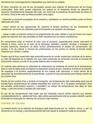 fácilmente por microorganismos indeseables que merman su calidad. El daño mecánico es una de las principales causas que originan la disminución de los frutos comerciales. Este daño puede originarse por golpes en el recipiente donde se deposita la cosecha inmediatamente después del corte, así como por la presencia de partículas de tierra en el mismo. Para evitar esto se debe proceder como sigue: - Capacitar al personal encargado de la cosecha y establecer un control periódico sobre la forma adecuada del corte. - Incluir dentro de las operaciones de cosecha el lavado periódico de los recipientes de recolección, así como los utilizados para el transporte a la estación de empaque. -  Llevar a cabo un estricto control en la programación de corte, debido a que los frutos con mayor grado de madurez son más sensibles al daño mecánico por su menor consistencia. Es conveniente evitar al máximo el trato rudo al producto, especialmente donde interviene el manejo a mano, como es el caso de la descarga, estibado, vaciado, rezague y empaque en envase comercial. Asimismo, se debe revisar periódicamente el estado de conservación del equipo, a fin de colocar o renovar las protecciones en los puntos en donde el tomate recibe impactos por caídas o vueltas. Puesto que el fruto cosechado deja automáticamente de recibir sustancias nutritivas de la planta, su vida útil depende de la rapidez con que esas sustancias se consuman durante el proceso de maduración natural, el cual no se puede detener pero si disminuirse. Un método para disminuir la velocidad de maduración es mediante el control de la temperatura, para lo cual se debe evitar al máximo la exposición directa al sol y mantener la fruta en la estación de empaque a la sombra, especialmente en los meses más calurosos, e incluir dentro de la operación de acondicionamiento el preenfriado, cuando la fruta permanece poco tiempo dentro de los cuartos fríos. Dentro de los cuartos fríos y durante el transporte, las temperaturas más adecuadas para que el tomate logre características de calidad deseables son entre los 10 y 18 grados centígrados; para los tomates verde-maduro (sazon) y ("estrellita") se utilizan las temperaturas más altas en este rango, y para los pintos o rayados las más bajas. El uso de las temperaturas más bajas que las indicadas causan daños internos que afectan considerablemente la  calidad del fruto; tales daños generalmente sólo se pueden advertir cuando el tomate ha alcanzado la madurez de consumo (rojo intenso). CONTROL DE  CALIDAD La calidad dentro de la estación de empaque está determinada por  la  materia  prima  y  por  la eficiencia en el manejo y acondicionamiento del fruto desde la recepción hasta su envasado. 