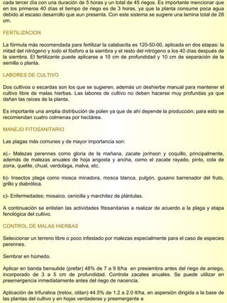 cada tercer día con una duración de 5 horas y un total de 45 riegos. Es importante mencionar que en los primeros 40 días el tiempo de riego es de 3 horas, ya que la planta consume poca agua debido al escaso desarrollo que aun presenta. Con este sistema se sugiere una lamina total de 28 cm. FERTILIZACION La fórmula más recomendada para fertilizar la calabacita es 120-50-00, aplicada en dos etapas: la mitad del nitrógeno y todo el fósforo a la siembra y el resto del nitrógeno a los 40 días después de la siembra. El fertilizante puede aplicarse a 10 cm de profundidad y 10 cm de separación de la semilla o planta. LABORES DE CULTIVO   Dos cultivos o escardas son los que se sugieren, además un deshierbe manual para mantener el cultivo libre de malas hierbas. Las labores de cultivo no deben hacerse muy profundas ya que dañan las raíces de la planta. Es importante una amplia distribución de polen ya que de ahí depende la producción; para esto se recomiendan cuatro colmenas por hectárea. MANEJO FITOSANITARIO   Las plagas más comunes y de mayor importancia son: a).- Malezas perennes como gloria de la mañana, zacate jonhson y coquillo, principalmente, además de malezas anuales de hoja angosta y ancha, como el zacate rayado, pinto, cola de zorra, quelite, chual, verdolaga, malva, etc. b)- Insectos plaga como mosca minadora, mosca blanca, pulgón, gusano barrenador del fruto, grillo y diabrótica. c)- Enfermedades; mosaico, cenicilla y marchitez de plántulas. A continuación se enlistan las actividades fitosanitarias a realizar de acuerdo a la plaga y etapa fenológica del cultivo. CONTROL DE MALAS HIERBAS Seleccionar un terreno libre o poco infestado por malezas especialmente para el caso de especies perennes. Sembrar en húmedo. Aplicar en banda bensulide (prefar) 48% de 7 a 9 lt/ha  en presiembra antes del riego de aniego, incorporado de 3 a 5 cm de profundidad. Controla zacates anuales. Se puede utilizar en preemergencia inmediatamente antes del riego de nacencia. Aplicación de trifuralina (tretox, otilan) 44.5% de 1.2 a 2.0 lt/ha, en aspersión dirigida a la base de las plantas del cultivo y en hojas verdaderas y preemergente a  