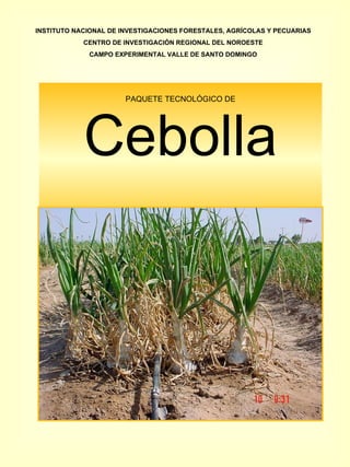PAQUETE TECNOLÓGICO DE Cebolla INSTITUTO NACIONAL DE INVESTIGACIONES FORESTALES, AGRÍCOLAS Y PECUARIAS CENTRO DE INVESTIGACIÓN REGIONAL DEL NOROESTE CAMPO EXPERIMENTAL VALLE DE SANTO DOMINGO 