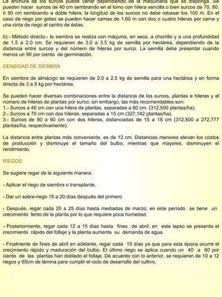 La anchura de los surcos puede variar dependiendo de la maquinaria que se disponga. Se pueden hacer  surcos de 40 cm sembrando en el lomo con hilera sencilla o bien surcos de 70, 80, ó 90 cm sembrando a doble hilera; la longitud de los surcos no debe rebasar los 100 m. En el caso de riego por goteo se pueden hacer camas de 1.60 m con dos o cuatro hileras por cama y una cinta de riego al centro de éstas. b).- Método directo.- la siembra se realiza con máquina, en seco, a chorrillo y a una profundidad de 1.5 a 2.0 cm. Se requieren de 3.0 a 3.5 kg de semilla por hectárea, dependiendo de la distancia entre surcos y del número de hileras por surco. La semilla debe presentar cuando menos un 90 por ciento  de germinación. DENSIDAD DE SIEMBRA En siembra de almácigo se requieren de 2.0 a 2.5 kg de semilla para una hectárea y en forma directa de 3 a 5 kg por hectárea. Se pueden hacer diversas combinaciones entre la distancia de los surcos, plantas e hileras y el número de hileras de plantas por surco; sin embargo, las más recomendables son:  1.- Surcos a 40 cm con una hilera de plantas, separadas a 80 cm. (312,500 plantas/ha). 2.- Surcos a 70 cm con dos hileras, separadas a 15 cm (327,142 plantas/ha). 3.- Surcos de 80 a 90 cm con dos hileras, distanciadas de 15 a 18 cm (312,500 a 272,777 plantas/ha, respectivamente). La distancia entre plantas más conveniente, es de 12 cm. Distancias menores elevan los costos de producción y disminuye el tamaño del bulbo, mientras que mayores, disminuyen el rendimiento. RIEGOS Se sugiere regar de la siguiente manera: - Aplicar el riego de siembra o transplante. - Dar un sobre-riego 15 a 20 días después del primero - Después, regar cada 20 a 25 días hasta mediados de marzo; en este período  se tiene  un  crecimiento  lento de la planta por lo que requiere poca humedad. - Posteriormente, regar cada 12 a 15 días hasta  fines  de abril; en  este lapso se presenta el crecimiento  rápido del follaje y la planta aumenta  su  demanda de agua. - Finalmente de fines de abril en adelante, regar cada  10 días ya que para esta época ocurre el crecimiento rápido y maduración del bulbo. El último riego se aplica cuando un  40  a  60 por ciento  de  las  plantas han doblado el follaje. De acuerdo con lo anterior, se requieren de 10 a 12 riegos y 65cm de lámina para cumplir el ciclo de desarrollo del cultivo. 