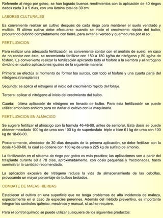 Referente al riego por goteo, se han logrado buenos rendimientos con la aplicación de 40 riegos dados cada 3 a 5 días, con una lámina total de 30 cm. LABORES CULTURALES Es conveniente realizar un cultivo después de cada riego para mantener el suelo ventilado y mullido. El último cultivo debe efectuarse cuando se inicie el crecimiento rápido del bulbo, procurando cubrirlo completamente con tierra, para evitar el verdeo y quemaduras por el sol. FERTILIZACION Para realizar una adecuada fertilización es conveniente contar con el análisis de suelo; en caso de no contar con éste, se recomienda fertilizar con 150 a 180 kg/ha de nitrógeno y 80 kg/ha de fósforo. Es conveniente realizar la fertilización aplicando todo el fósforo a la siembra y el nitrógeno dividirlo en cuatro aplicaciones iguales de la siguiente manera:  Primera: se efectúa al momento de formar los surcos, con todo el fósforo y una cuarta parte del nitrógeno.(transplante) Segunda: se aplica el nitrógeno al inicio del crecimiento rápido del follaje. Tercera: aplicar el nitrógeno al inicio del crecimiento del bulbo. Cuarta:  última aplicación de nitrógeno en llenado de bulbo. Para esta fertilización se puede utilizar amoníaco anhidro para no dañar el cultivo con la maquinaria. FERTILIZACION EN ALMACIGO Se sugiere fertilizar el almácigo con la formula 46-46-00, antes de sembrar. Esta dosis se puede obtener mezclado 100 kg de urea con 100 kg de superfosfato  triple o bien 61 kg de urea con 100 kg de 18-60-00.  Posteriormente, alrededor de 30 días después de la primera aplicación, se debe fertilizar con la dosis 46-00-00, la cual se obtiene con 100 kg de urea o 225 kg de sulfato de amonio. La fertilización en el sistema de riego por goteo es más practico; las aplicaciones son a partir del trasplante durante 60 a 70 días, aproximadamente, con dosis pequeñas y fraccionadas, hasta suministrar la cantidad recomendada. La aplicación excesiva de nitrógeno reduce la vida de almacenamiento de las cebollas, provocando un mayor porcentaje de bulbos brotados. COMBATE DE MALAS HIERBAS Establecer el cultivo en una superficie que no tenga problemas de alta incidencia de maleza, especialmente en el caso de especies perennes. Además del método preventivo, es importante integrar los controles químico, mecánico y manual, sí así se requiere. Para el control químico se puede utilizar cualquiera de los siguientes productos: 