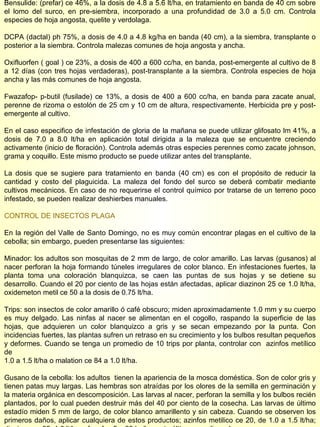 Bensulide: (prefar) ce 46%, a la dosis de 4.8 a 5.6 lt/ha, en tratamiento en banda de 40 cm sobre el lomo del surco, en pre-siembra, incorporado a una profundidad de 3.0 a 5.0 cm. Controla especies de hoja angosta, quelite y verdolaga. DCPA (dactal) ph 75%, a dosis de 4.0 a 4.8 kg/ha en banda (40 cm), a la siembra, transplante o posterior a la siembra. Controla malezas comunes de hoja angosta y ancha. Oxifluorfen ( goal ) ce 23%, a dosis de 400 a 600 cc/ha, en banda, post-emergente al cultivo de 8 a 12 días (con tres hojas verdaderas), post-transplante a la siembra. Controla especies de hoja ancha y las más comunes de hoja angosta. Fwazafop- p-butil (fusilade) ce 13%, a dosis de 400 a 600 cc/ha, en banda para zacate anual, perenne de rizoma o estolón de 25 cm y 10 cm de altura, respectivamente. Herbicida pre y post-emergente al cultivo. En el caso especifico de infestación de gloria de la mañana se puede utilizar glifosato lm 41%, a dosis de 7.0 a 8.0 lt/ha en aplicación total dirigida a la maleza que se encuentre creciendo activamente (inicio de floración). Controla además otras especies perennes como zacate johnson, grama y coquillo. Este mismo producto se puede utilizar antes del transplante. La dosis que se sugiere para tratamiento en banda (40 cm) es con el propósito de reducir la cantidad y costo del plaguicida. La maleza del fondo del surco se deberá combatir mediante cultivos mecánicos. En caso de no requerirse el control químico por tratarse de un terreno poco infestado, se pueden realizar deshierbes manuales. CONTROL DE INSECTOS PLAGA En la región del Valle de Santo Domingo, no es muy común encontrar plagas en el cultivo de la cebolla; sin embargo, pueden presentarse las siguientes: Minador: los adultos son mosquitas de 2 mm de largo, de color amarillo. Las larvas (gusanos) al nacer perforan la hoja formando túneles irregulares de color blanco. En infestaciones fuertes, la planta toma una coloración blanquizca, se caen las puntas de sus hojas y se detiene su desarrollo. Cuando el 20 por ciento de las hojas están afectadas, aplicar diazinon 25 ce 1.0 lt/ha, oxidemeton metil ce 50 a la dosis de 0.75 lt/ha. Trips: son insectos de color amarillo ó café obscuro; miden aproximadamente 1.0 mm y su cuerpo es muy delgado. Las ninfas al nacer se alimentan en el cogollo, raspando la superficie de las hojas, que adquieren un color blanquizco a gris y se secan empezando por la punta. Con incidencias fuertes, las plantas sufren un retraso en su crecimiento y los bulbos resultan pequeños y deformes. Cuando se tenga un promedio de 10 trips por planta, controlar con  azinfos metílico de  1.0 a 1.5 lt/ha o malation ce 84 a 1.0 lt/ha. Gusano de la cebolla: los adultos  tienen la apariencia de la mosca doméstica. Son de color gris y tienen patas muy largas. Las hembras son atraídas por los olores de la semilla en germinación y la materia orgánica en descomposición. Las larvas al nacer, perforan la semilla y los bulbos recién plantados, por lo cual pueden destruir más del 40 por ciento de la cosecha. Las larvas de último estadío miden 5 mm de largo, de color blanco amarillento y sin cabeza. Cuando se observen los primeros daños, aplicar cualquiera de estos productos; azinfos metilico ce 20, de 1.0 a 1.5 lt/ha; diazinon ce 25, 1.0 lt/ha o fenofos 5g, 20 kg/ha, este último se aplica a la  