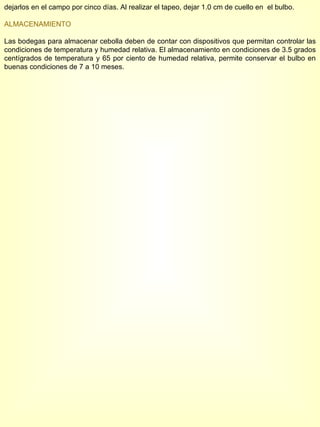 dejarlos en el campo por cinco días. Al realizar el tapeo, dejar 1.0 cm de cuello en  el bulbo. ALMACENAMIENTO Las bodegas para almacenar cebolla deben de contar con dispositivos que permitan controlar las condiciones de temperatura y humedad relativa. El almacenamiento en condiciones de 3.5 grados centígrados de temperatura y 65 por ciento de humedad relativa, permite conservar el bulbo en buenas condiciones de 7 a 10 meses. 