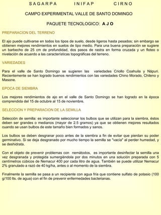 S A G A R P A  I N I F A P  C I R N O CAMPO EXPERIMENTAL VALLE DE SANTO DOMINGO  PAQUETE TECNOLOGICO:  A J O  PREPARACION DEL TERRENO El ajo puede cultivarse en todos los tipos de suelo, desde ligeros hasta pesados; sin embargo se obtienen mejores rendimientos en suelos de tipo medio. Para una buena preparación se sugiere un barbecho de 25 cm de profundidad, dos pasos de rastra en forma cruzada y un floteo o nivelación de acuerdo a las características topográficas del terreno. VARIEDADES Para el valle de Santo Domingo se sugieren las  variedades Criollo Coahuila y Nápuri. Recientemente se han logrado buenos rendimientos con las variedades Chino Morado, Chileno y Masone. EPOCA DE SIEMBRA Los mejores rendimientos de ajo en el valle de Santo Domingo se han logrado en la época comprendida del 15 de octubre al 15 de noviembre. SELECCION Y PREPARACION DE LA SEMILLA Selección de semilla: es importante seleccionar los bulbos que se utilizan para la siembra, éstos deben ser grandes o medianos (mayor de 2.5 gramos) ya que se obtienen mejores resultados cuando se usan bulbos de este tamaño bien formados y sanos. Los bulbos se deben desgranar poco antes de la siembra a fin de evitar que pierdan su poder germinativo. Si se deja desgranado por mucho tiempo la semilla se "vacía" al perder humedad, y se deshidrata. Con el objeto de prevenir problemas con  nemátodos,  es importante desinfectar la semilla una vez desgranada y protegida sumergiéndola por dos minutos en una solución preparada con 5 centímetros cúbicos de Nemacur 400 por cada litro de agua. También se puede utilizar Nemacur 2% granulado a razó de 40 kg/ha, antes o al momento de la siembra. Finalmente la semilla se pasa a un recipiente con agua fría que contiene sulfato de potasio (100 g/100 lts. de agua) con el fin de prevenir enfermedades bacterianas. 