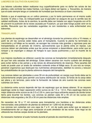 LABORES DE CULTIVO EN ALMACIGO Las labores culturales deben realizarse muy superficialmente para no dañar las raíces de las plantas y sólo controlar las malas hierbas. Los riegos deben ser ligeros  y  frecuentes, de manera que el suelo siempre tenga un contenido de humedad que favorezca un buen crecimiento. Debido a que el espárrago es un cultivo perenne y por lo tanto permanece en el mismo suelo durante 15 años o mas, es indispensable que el agricultor se asegure de que la semilla sea de calidad certificada. Antes de la siembra, la semilla debe ser tratada con algún fungicida con el fin de prevenir la pudrición de la raíces causada por Fusarium, ya que este hongo puede venir en la semilla. Recuerde que las variedades sugeridas no son resistentes a esta enfermedad sino tolerantes. TRANSPLANTE  Las plantas de espárrago se desarrollan en el almácigo durante los primeros ocho a 10 meses, a partir de ahí las coronas están listas para el transplante. Cuando la planta ha terminado su crecimiento y el follaje se ha secado, se escogen las coronas más grandes y vigorosas para ser transplantadas en el período de invierno, aprovechando que la planta entra en reposo. Las coronas deben ser plantadas antes que las yemas empiecen a desarrollarse, para evitar que se rompan y se expongan a ataque de hongos lo que causa pudriciones y aun la muerte de la corona. Los mejores resultados se obtienen cuando las coronas se transplantan inmediatamente después de que han sido sacadas del almácigo. Estas deben sacarse con mucho cuidado del almácigo para evitar daños a las yemas y a las raíces de almacenamiento de reservas. Para sacarlas del suelo se puede usar un arado de vertedera cortando antes el follaje seco. Si una raíz se rompe, penetran organismos que destruyen los nutrimentos almacenados, debilitan la corona y reducen las probabilidades de que la planta sobreviva después del transplante. Las coronas deben ser plantadas a unos 30 cm de profundidad, en zanjas cuyo fondo debe ser lo suficientemente amplio para permitir una buena distribución de raíces. El fondo de la zanja debe ser plana y sin terrones, para evitar la formación de bolsas de aire cuando las coronas sean cubiertas con tierra. La distancia entre surcos depende del tipo de espárrago que se desea obtener. Si se requiere espárrago verde la mejor separación entre surcos es de 1.5 a  1.8 m. Para espárrago blanco la mejor distancia entre surcos es de 2.0 a 2.30 m, para que haya suficiente espacio de donde tomar tierra para levantar los bordos. Las coronas se plantan cada 40 a 45 cm en los surcos con distancias más angostas y de 25 a 30 cm para las distancias más amplias. Se necesitan de 16 a 17 mil coronas para transplantar una hectárea a las distancias antes mencionadas; esta población de plantas se obtienen en 1,200 m2 de almácigo. Las coronas son cubiertas con una capa de 7 a 9  cm de suelo para evitar que se sequen e inmediatamente dar un riego para compactar al suelo alrededor de las raíces. Este riego se da utilizando las mismas zanjas donde se ha plantado. Es necesario mantener al suelo húmedo durante el periodo de crecimiento para  