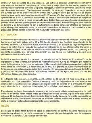obtener un buen desarrollo de la esparraguera. Los cultivos o escardas únicamente deben servir para controlar las hierbas que aparezcan entre zanja y zanja, después las hierbas pueden ser controladas cubriéndolas con tierra tan pronto aparezcan, y continuar arrimando tierra hasta llenar completamente las zanjas. El éxito de una plantación de espárrago depende en su mayor parte del cuidado que se le preste durante el primer año. Cualquier daño que se haga a los brotes ocasiona una planta débil con bajo rendimiento. El primer año las plantas alcanzan una altura aproximada de 1.5 m. Cuando se  han secado los tallos y antes de que comience el tiempo de cosecha, conviene cortar el follaje y quemarlo, para destruir las esporas de hongos o insectos que pudiera haber, también puede aprovecharse para consumo como alimento forrajero. Si el invierno es benigno y las temperaturas no son lo suficientemente bajas para secar el follaje, es necesario retirar el riego una vez que la planta ha terminado su crecimiento, lo cual ocurre cuando los frutos producidos por las plantas femeninas han madurado y empiezan a secarse. FERTILIZACION Comúnmente el espárrago se transplanta al año de haberse sembrado el almácigo. Durante este tiempo es importante aplicar entre 90 y 100 kg de nitrógeno por hectárea dependiendo de la fertilidad del suelo. La aplicación puede hacerse en banda o en el agua de riego si dispone de sistema de goteo. Es muy importante efectuar las aplicaciones en tres etapas: a los dos, cinco y ocho meses a partir de la siembra; de esta forma se tendrán plantas sanas, con buen vigor y excelente desarrollo. Sus coronas almacenarán en sus raíces los nutrientes y energía que posteriormente ocupara la planta. La fertilización depende del tipo de suelo, el manejo que se ha hecho en él, la duración de la explotación, y otros factores. En general se recomienda aplicar 120 kg de nitrógeno por hectárea antes del transplante de las coronas, además 120 kg por año distribuidos en dos partes iguales: la mitad antes de la cosecha y el resto después de ella, o si prefiere se puede incorporar todo el fertilizante en una sola aplicación antes de la cosecha. En suelos donde hay deficiencia de fósforo y potasio es recomendable hacer aplicaciones anuales de 50 kg/ha de cada uno de los elementos, después de cada cosecha. El fertilizante debe aplicarse en banda, a ambos lados de la corona y lo más cercano, pero sin que quede en contacto con ella. Durante el verano y otoño las raíces de almacenamiento de las coronas conservan los nutrientes utilizados en la producción de turiones en la primavera. Por esta razón, después de la cosecha se deben evitar daños al follaje mientras este no se haya secado. Para obtener un buen desarrollo del espárrago es conveniente utilizar materia orgánica, la cual debe ser enterrada varios meses antes del transplante de las coronas, y para este caso deben aplicarse 20 ton/ha de estiércol descompuesto. Cuando la plantación ya haya sido establecida es conveniente hacer aplicaciones periódicas de estiércol podrido, distribuido al voleo durante el otoño o invierno y enterrarlo simultáneamente con el fertilizante. RIEGOS Los riegos no deben faltar durante la época de crecimiento; en cambio, la planta necesita poca agua durante el periodo de  corte; es necesario mantener siempre húmeda la capa de suelo que haya sobre las coronas. Los excesos de humedad  
