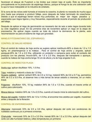 favorecen el ataque de Fusarium a los brotes que crecen bajo el suelo. Ésto es importante principalmente en la producción de espárrago blanco, porque el hongo le da una coloración café lo que lo hace indeseable en la industria de enlatado. Si la zona de las raíces está húmeda al iniciarse la cosecha, la planta no necesita de mucha agua sino hasta que empiece a producir follaje, poco después de haber terminado de cosecharse. Debido a que el espárrago tienen raíces muy profundas, es  mejor  dar  riegos  pesados  y  espaciados que riegos ligeros y muy frecuentes, especialmente durante el periodo de producción del follaje. Después de aplicar el riego de germinación es necesario dar de seis a siete riegos durante todo su ciclo vegetativo anual. En los primeros días de noviembre aplicar un riego en la etapa de precosecha. No aplicar riegos cuando se trate de inducir la dormancia de la planta, esta recomendación es para el sistema de riego por gravedad. MANEJO FITOSANITARIO DEL ESPARRAGO : CONTROL DE MALAS HIERBAS Para el control de maleza de hoja ancha se sugiere aplicar metribuzin-80% a dosis de 1.0 a 1.5 kg/ha, en preemergencia a la maleza . Para el control de hoja ancha y angosta, aplicar paraquat-25% de 1.5 a 2.0 l/ha, utilizando un protector o campana para evitar el contacto del producto con las plantas; linuron-50%, de 1.5 a 2.5 l/ha, después del transplante o aporque, cuando la maleza de hoja ancha tenga 10 cm de altura y la de hoja angosta 5 cm. CONTROL DE INSECTOS PLAGA Araña roja : aplicar disulfoton 10%, 1.0 l/ha. Trips : malation y metomil a dosis de 1.0 l/ha. Gusano soldado :  aplicar carbaril 80% de 2.5 a 3.0 kg; metomil 90% de 0.6 a 0.7 kg, permetrina 48% de 0.3 a 0.5 l/ha, al observar tres o más larvas de tercer estadío o menores, en un metro lineal. Pulgones :  disulfoton 10%, 10 kg; malation 84% de 1.0 a 1.5 l/ha, cuando el insecto arribe al cultivo para colonizarlo. Mosca blanca : malation 84% de 1.0 a 2.0 l/ha, cuando el insecto inicie la colonización del cultivo. Mosca del cogollo : malation 84% de 1.0 a 1.5 l/ha, al encontrar tres adultos por cogollo, muestrear antes y después de la floración.  CONTROL DE ENFERMEDADES Alternaria : mancozeb 33% de 2.5 a 3.0 l/ha, aplicar después del corte con condiciones de nublados continuos y/o a primeros síntomas. Chahuixtle :  mancozeb 33% de 2.5 a 3.0 l/ha; maneb 80% de 1.5 a 2.0 l/ha, aplicar después del corte con alta humedad relativa y altas temperaturas y/o primeros  