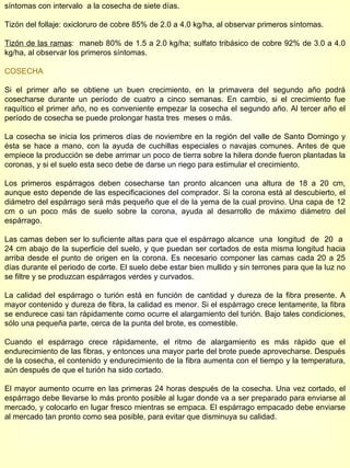 síntomas con intervalo  a la cosecha de siete días. Tizón del follaje: oxicloruro de cobre 85% de 2.0 a 4.0 kg/ha, al observar primeros síntomas. Tizón de las ramas :  maneb 80% de 1.5 a 2.0 kg/ha; sulfato tribásico de cobre 92% de 3.0 a 4.0 kg/ha, al observar los primeros síntomas. COSECHA Si el primer año se obtiene un buen crecimiento, en la primavera del segundo año podrá cosecharse durante un período de cuatro a cinco semanas. En cambio, si el crecimiento fue raquítico el primer año, no es conveniente empezar la cosecha el segundo año. Al tercer año el período de cosecha se puede prolongar hasta tres  meses o más. La cosecha se inicia los primeros días de noviembre en la región del valle de Santo Domingo y ésta se hace a mano, con la ayuda de cuchillas especiales o navajas comunes. Antes de que empiece la producción se debe arrimar un poco de tierra sobre la hilera donde fueron plantadas la coronas, y si el suelo esta seco debe de darse un riego para estimular el crecimiento. Los primeros espárragos deben cosecharse tan pronto alcancen una altura de 18 a 20 cm, aunque esto depende de las especificaciones del comprador. Si la corona está al descubierto, el diámetro del espárrago será más pequeño que el de la yema de la cual provino. Una capa de 12 cm o un poco más de suelo sobre la corona, ayuda al desarrollo de máximo diámetro del espárrago. Las camas deben ser lo suficiente altas para que el espárrago alcance  una  longitud  de  20  a  24 cm abajo de la superficie del suelo, y que puedan ser cortados de esta misma longitud hacia arriba desde el punto de origen en la corona. Es necesario componer las camas cada 20 a 25 días durante el periodo de corte. El suelo debe estar bien mullido y sin terrones para que la luz no se filtre y se produzcan espárragos verdes y curvados. La calidad del espárrago o turión está en función de cantidad y dureza de la fibra presente. A mayor contenido y dureza de fibra, la calidad es menor. Si el espárrago crece lentamente, la fibra se endurece casi tan rápidamente como ocurre el alargamiento del turión. Bajo tales condiciones, sólo una pequeña parte, cerca de la punta del brote, es comestible.  Cuando el espárrago crece rápidamente, el ritmo de alargamiento es más rápido que el endurecimiento de las fibras, y entonces una mayor parte del brote puede aprovecharse. Después de la cosecha, el contenido y endurecimiento de la fibra aumenta con el tiempo y la temperatura, aún después de que el turión ha sido cortado.  El mayor aumento ocurre en las primeras 24 horas después de la cosecha. Una vez cortado, el espárrago debe llevarse lo más pronto posible al lugar donde va a ser preparado para enviarse al mercado, y colocarlo en lugar fresco mientras se empaca. El espárrago empacado debe enviarse al mercado tan pronto como sea posible, para evitar que disminuya su calidad. 