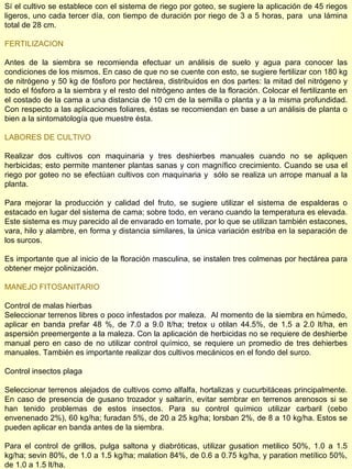 Sí el cultivo se establece con el sistema de riego por goteo, se sugiere la aplicación de 45 riegos ligeros, uno cada tercer día, con tiempo de duración por riego de 3 a 5 horas, para  una lámina total de 28 cm. FERTILIZACION Antes de la siembra se recomienda efectuar un análisis de suelo y agua para conocer las condiciones de los mismos. En caso de que no se cuente con esto, se sugiere fertilizar con 180 kg de nitrógeno y 50 kg de fósforo por hectárea, distribuidos en dos partes: la mitad del nitrógeno y todo el fósforo a la siembra y el resto del nitrógeno antes de la floración. Colocar el fertilizante en el costado de la cama a una distancia de 10 cm de la semilla o planta y a la misma profundidad. Con respecto a las aplicaciones foliares, éstas se recomiendan en base a un análisis de planta o bien a la sintomatología que muestre ésta. LABORES DE CULTIVO Realizar dos cultivos con maquinaria y tres deshierbes manuales cuando no se apliquen herbicidas; esto permite mantener plantas sanas y con magnífico crecimiento. Cuando se usa el riego por goteo no se efectúan cultivos con maquinaria y  sólo se realiza un arrope manual a la planta. Para mejorar la producción y calidad del fruto, se sugiere utilizar el sistema de espalderas o estacado en lugar del sistema de cama; sobre todo, en verano cuando la temperatura es elevada. Este sistema es muy parecido al de envarado en tomate, por lo que se utilizan también estacones, vara, hilo y alambre, en forma y distancia similares, la única variación estriba en la separación de los surcos.  Es importante que al inicio de la floración masculina, se instalen tres colmenas por hectárea para obtener mejor polinización. MANEJO FITOSANITARIO Control de malas hierbas Seleccionar terrenos libres o poco infestados por maleza.  Al momento de la siembra en húmedo, aplicar en banda prefar 48 %, de 7.0 a 9.0 lt/ha; tretox u otilan 44.5%, de 1.5 a 2.0 lt/ha, en aspersión preemergente a la maleza. Con la aplicación de herbicidas no se requiere de deshierbe manual pero en caso de no utilizar control químico, se requiere un promedio de tres dehierbes manuales. También es importante realizar dos cultivos mecánicos en el fondo del surco. Control insectos plaga Seleccionar terrenos alejados de cultivos como alfalfa, hortalizas y cucurbitáceas principalmente. En caso de presencia de gusano trozador y saltarín, evitar sembrar en terrenos arenosos si se han tenido problemas de estos insectos. Para su control químico utilizar carbaril (cebo envenenado 2%), 60 kg/ha; furadan 5%, de 20 a 25 kg/ha; lorsban 2%, de 8 a 10 kg/ha. Estos se pueden aplicar en banda antes de la siembra. Para el control de grillos, pulga saltona y diabróticas, utilizar gusation metilico 50%, 1.0 a 1.5 kg/ha; sevin 80%, de 1.0 a 1.5 kg/ha; malation 84%, de 0.6 a 0.75 kg/ha, y paration metílico 50%, de 1.0 a 1.5 lt/ha. 