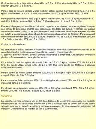 Contra minador de la hoja, utilizar etion 50%, de 1.0 a 1.2 lt/ha, dimetoato 38%, de 0.8 a 1.0 lt/ha; diazinon 25%, de 1.0 a 1.5 lt/ha. Para el caso de gusano soldado y falso medidor, aplicar Bacillus thuringiensis 3.2 %, de 1.0 a 1.5 kg/ha; tamaron 600, de 1.0 a 1.5 lt/ha; metomil 90%, 0.4 a 0.6 kg/ha; lorsban 48%, 1.5 lt/ha. Para gusano barrenador del fruto y guía, aplicar metomil 90%, de 1.4 a 1.6 kg/ha; malation 84%,  de 0.75 a 1.0 lt/ha; tamaron 600, de 1.0 a 1.5 lt/ha o belmark 11.1% de 0.8 a 1.0 lt/ha. Respecto al pulgón y mosca blanca, eliminar hospederos, establecer barreras vegetales, trampas con banda de polietileno amarillo con pegamento, alrededor del cultivo, y trampas de tarjetas amarillas dentro del cultivo. Sí es posible emplear acolchado color aluminio para repeler el arribo del pulgón y mosca blanca o bien el uso de microtúneles hasta inicio de floración. Para su control químico utilizar thiodan 35%, de 2.0 a 2.5 lt/ha; phosdrin 47%, de 1.5 a 2.0 lt/ha; diazinon 25%, de 1.5 a 2.0 lt/ha, o roxion 38%, de 1.0 a 1.5 lt/ha. Control de enfermedades No establecer el cultivo cercano a superficies infectadas con virus. Debe tenerse cuidado en el control de insectos vectores como mosca blanca, pulgón,  chicharritas, etc. Al observar síntomas virales, eliminar plantas y quemarlas o enterrarlas. Las personas que tocan plantas enfermas no deben tocar plantas sanas. En el caso de cenicilla, aplicar clorotalonil 75%, de 2.0 a 3.0 kg/ha; triforine 20%, de 1.0 a 1.5 lt/ha. Se puede utilizar azufre 52%, de 2.5 a 3.0 lt/ha, pero puede ser fitotóxico a algunas variedades o híbridos. Para el control de mildíu, utilizar anilazina 50%, de 2.0 a 4.0 kg/ha; folpet 52%, de 2.5 a 3.5 kg/ha o captafol 50%, de 2.5 a 3.5 kg/ha. Para la mancha foliar, anilazina 50%, 2.0 a 4.0 kg/ha; clorotalonil 75%, de 2.5 a 3.0 kg/ha, ó mancozeb 33%, 3.0 a 5.0 lt/ha. En el caso de antracnosis, anilazina 50%, 2.0 a 3.0 kg/ha; clorotalonil 75%, 2.0 a 3.0 kg/ha; triforine 20%, de 1.0 a 1.5 lt/ha, o azufre 52%, de 2.5 a 3 lt/ha. COSECHA La cosecha se inicia alrededor de los 50 días después de la siembra; esto puede ser variable dependiendo de las condiciones ambientales y de la variedad que se utilice. Los frutos deben seleccionarse por su tamaño y calidad y empacarse en cajas, de acuerdo con las exigencias del mercado. Generalmente se realizan de tres a cuatro cortes. 