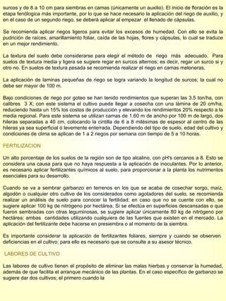 surcos y de 8 a 10 cm para siembras en camas (únicamente un auxilio). El inicio de floración es la etapa fenólogica más importante, por lo que se hace necesario la aplicación del riego de auxilio, y en el caso de un segundo riego, se deberá aplicar al empezar  el llenado de cápsulas. Se recomienda aplicar riegos ligeros para evitar los excesos de humedad. Con ello se evita la pudrición de raíces, amarillamiento foliar, caída de las hojas, flores y cápsulas, lo cual se traduce en un mejor rendimiento. La textura del suelo debe considerarse para elegir el método de  riego  más  adecuado.  Para suelos de textura media y ligera se sugiere regar en surcos alternos; es decir, regar un surco si y otro no. En suelos de textura pesada se recomienda realizar el riego en camas meloneras. La aplicación de laminas pequeñas de riego se logra variando la longitud de surcos; la cual no debe ser mayor de 100 m. Bajo condiciones de riego por goteo se han tenido rendimientos que superan las 3.5 ton/ha, con calibres  3 X; con este sistema el cultivo puede llegar a cosecha con una lámina de 20 cm/ha, reduciendo hasta un 15% los costos de producción y elevando los rendimientos 20% respecto a la media regional. Para este sistema se utilizan camas de 1.60 m de ancho por 100 m de largo, dos hileras separadas a 40 cm, colocando la cintilla de 6 a 8 milésimas de espesor al centro de las hileras ya sea superficial ó levemente enterrada. Dependiendo del tipo de suelo, edad del cultivo y condiciones de clima se aplican de 1 a 2 riegos por semana con tiempo de 5 a 10 horas. FERTILIZACION Un alto porcentaje de los suelos de la región son de tipo alcalino, con pH's cercanos a 8. Esto se considera una causa para que no haya respuesta a la aplicación de inoculantes. Por lo anterior, es necesario aplicar fertilizantes químicos al suelo, para proporcionar a la planta los nutrimentos esenciales para su desarrollo. Cuando se va a sembrar garbanzo en terrenos en los que se acaba de cosechar sorgo, maíz, algodón o cualquier otro cultivo de los considerados como agotadores del suelo, se recomienda realizar un análisis de suelo para conocer la fertilidad; en caso que no se cuente con ello, se sugiere aplicar 100 kg de nitrógeno por hectárea. Si se efectúa en superficies descansadas o que fueron sembradas con otras leguminosas, se sugiere aplicar únicamente 80 kg de nitrógeno por hectárea; ambas  cantidades utilizando cualquiera de las fuentes que existen en el mercado. La aplicación del fertilizante debe hacerse en presiembra o al momento de la siembra. Es importante considerar la aplicación de fertilizantes foliares, siempre y cuando se observen  deficiencias en el cultivo; para ello es necesario que se consulte a su asesor técnico. LABORES DE CULTIVO Las labores de cultivo tienen el propósito de eliminar las malas hierbas y conservar la humedad, además de que facilita el arranque mecánico de las plantas. En el caso específico de garbanzo se sugiere dar dos cultivos; el primero cuando la  