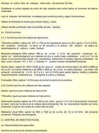 Manejar  el  cultivo  libre  de  malezas,  sobre todo  los primeros 30 días. Establecer el cultivo alejado de otros de hoja angosta para evitar daños al momento de aplicar herbicidas. Leer la  etiqueta  del herbicida  a emplear para control químico y seguir instrucciones. Aplicar el herbicida en banda para reducir dosis y  costo. Utilizar semilla certificada, libre de semillas de otra  especie. b).- Control químico. b.1.)- Control químico de maleza de hoja ancha. Trifluralina (treflan): aplicar de  576  a 1152 gr de ingrediente activo (i.a.)/ha, igual a 1.2 a 2.4 lt/ha  del  producto  comercial;  la dosis va de acuerdo a la textura  del  terreno;  se aplica en preemergencia al  cultivo y  malas  hierbas. Bentazón (basagran 480): aplicar  960 gr  de  i.a./ha,  2  lt./ha  del  producto  comercial;  se  aplica  en  post-emergencia con malezas de dos a cuatro hojas verdaderas  o de 5 a 7 cm de altura; no se recomienda mezclar con  insecticidas, adherentes ni aceites; algunas variedades  de frijol  como  Canario  101  y 107,  y  Delicias 71  pueden mostrar sensibilidad temporal. Alaclor (lazo): aplicar de 1920 a 2400 gr de i.a/ha en  suelos de textura ligera; de 2400 a 2880 gr de i.a./ha  en suelos medianos y de 2880 a 3840 gr  de i.a./ha  en suelos pesados.  Las dosis  del producto  comercial de  4 a 5;  de 5 a 6 y  de 6 a 8 lt/ha para suelos ligeros, medios y pesados respectivamente. Herbicida pre-  emergente al cultivo y malezas. Fomesafen (flex): aplicar 1.0 lt/ha para el control de gloria de la mañana.  b.2)- Control químico de malezas de hoja angosta. Alaclor, igual que para malezas de hoja ancha. Trifluralina, igual que para malezas de hoja ancha. Sethoxydim (poast): aplicar de 276 a 552 gr de i.a/ha,  igual a 1.5 o 3.0 lt del producto comercial; la dosis  varía con la altura de la maleza (post-emergente). No  se  recomienda mezclar con otros productos ni aplicar otro antes de cuatro días de éste. Metolaclor (dual 960): aplicar de 960 a 1920 gr de i.a./ha: de 1.0 a 2.0 lt/ha  del producto comercial. Producto pre-emergente. 2.- CONTROL DE INSECTOS PLAGA. a).- Recomendaciones generales. Sembrar en la fecha de siembra recomendada. 