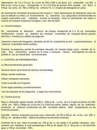 deltametrina  de 7.5 a 12.5 gr  de i.a./ha, de 300 a 500 cc de decis  2.5;  endosulfán  con 567  a 945 gr de i.a./ha, lo que  corresponde  a 1.5 a 2.5 lt/ha de thionex 35%; acefate  con  562.5  a 750 gr  de i.a/ha:  de  750 a 1000 gr de  orthene 75, o 1.5 kg/ha de detergente en polvo.  Se recomienda monitorear la presencia del insecto y  hacer aplicaciones de detergente cada vez que se detecte su arribo y al  incrementarse  su  presencia.  Los  plaguicidas convencionales se sugiere reservarlos para  utilizarlos  cuando la mosquita  inicia la colonización del cultivo o cuando se empiece a observar fumagina u otro  tipo de daño. c).- Control biológico Se  recomienda  la  liberación  masiva  de crisopa, empleando de 5 a 10 mil  huevecillos /ha/liberación,  cuando  se  detecten  los  primeros  huevecillos  de  mosquita blanca, gusano del fruto o  inmaduros y adultos de pulgones.  Liberación masiva de tricograma, alrededor de 50 mil  avispitas/ha en dos  ocasiones/semana  al  observar  huevecillos recién puestos. Propiciar  la presencia y acción de enemigos naturales  de  insectos plaga  como  minador  de  la  hoja,  trips,  chicharritas,  gusano de la vaina y mosquita  blanca,  restringiendo en todo lo posible el  uso de insecticidas  convencionales. 3.- CONTROL DE ENFERMEDADES. a).-Recomendaciones generales Sembrar dentro de la fecha de siembra recomendada. Utilizar semilla certificada. Utilizar variedades tolerantes. Tratar la semilla con fungicida. Evitar riegos pesados y encharcamientos. Leer las etiquetas de los plaguicida  y seguir las instrucciones b).- Control químico Roya o chahuixtle: aplicar maneb  de 800 a  1200 gr de  i.a./ha,  de 2 a 3 kg/ha de flonex mz 400;  zineb  con  800 a 1200gr de i.a./ha con 2 a 3 lt/ha de sultron. Aplicar  alguno  de  los  anteriores  productos  al  observar condiciones de alta  humedad relativa,  altas  temperaturas y/o las primeras pústulas. Cenicilla:  mismos  productos que para roya, o benomilo  de 270 a 450 gr  de  i.a./ha,  con  300  a  500 gr  de  benlate al 90%.  Aplicar al observar los primeros síntomas. Pudrición de la raíz: tratar la semilla con 150 gr de i.a. de captán a la semilla necesaria  para  sembrar una  hectárea, lo cual corresponde a 300 gr de captan 50, o  90 gr de i.a. de benomilo, igual  a 100 gr  de benlate  90%. 