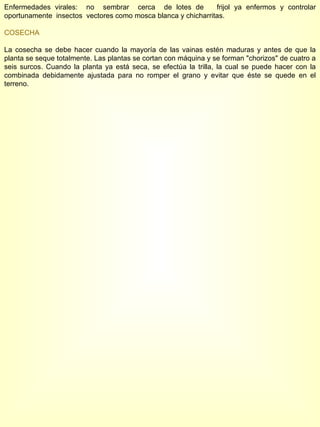 Enfermedades virales:  no  sembrar  cerca  de lotes de  frijol ya enfermos y controlar oportunamente  insectos  vectores como mosca blanca y chicharritas. COSECHA La cosecha se debe hacer cuando la mayoría de las vainas estén maduras y antes de que la planta se seque totalmente. Las plantas se cortan con máquina y se forman "chorizos" de cuatro a seis surcos. Cuando la planta ya está seca, se efectúa la trilla, la cual se puede hacer con la combinada debidamente ajustada para no romper el grano y evitar que éste se quede en el terreno. 