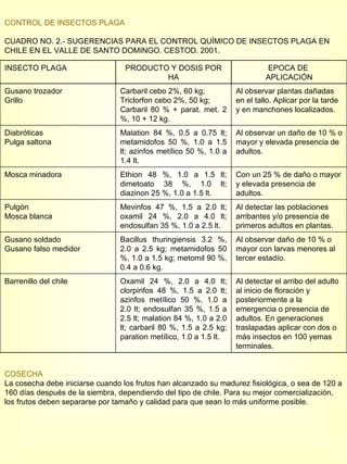 CONTROL DE INSECTOS PLAGA CUADRO NO. 2.- SUGERENCIAS PARA EL CONTROL QUÍMICO DE INSECTOS PLAGA EN CHILE EN EL VALLE DE SANTO DOMINGO. CESTOD. 2001. COSECHA La cosecha debe iniciarse cuando los frutos han alcanzado su madurez fisiológica, o sea de 120 a 160 días después de la siembra, dependiendo del tipo de chile. Para su mejor comercialización, los frutos deben separarse por tamaño y calidad para que sean lo más uniforme posible. INSECTO PLAGA PRODUCTO Y DOSIS POR HA EPOCA DE  APLICACIÓN Gusano trozador Grillo Carbaril cebo 2%, 60 kg; Triclorfon cebo 2%, 50 kg; Carbaril 80 % + parat. met. 2 %, 10 + 12 kg. Al observar plantas dañadas en el tallo. Aplicar por la tarde y en manchones localizados. Diabróticas Pulga saltona Malation 84 %, 0.5 a 0.75 lt; metamidofos 50 %, 1.0 a 1.5 lt; azinfos metílico 50 %, 1.0 a 1.4 lt. Al observar un daño de 10 % o mayor y elevada presencia de adultos. Mosca minadora Ethion 48 %, 1.0 a 1.5 lt; dimetoato 38 %, 1.0 lt; diazinon 25 %, 1.0 a 1.5 lt. Con un 25 % de daño o mayor y elevada presencia de adultos. Pulgón Mosca blanca Mevinfos 47 %, 1.5 a 2.0 lt; oxamil 24 %, 2.0 a 4.0 lt; endosulfan 35 %, 1.0 a 2.5 lt. Al detectar las poblaciones arribantes y/o presencia de primeros adultos en plantas. Gusano soldado Gusano falso medidor Bacillus thuringiensis 3.2 %, 2.0 a 2.5 kg; metamidofos 50 %, 1.0 a 1.5 kg; metomil 90 %, 0.4 a 0.6 kg. Al observar daño de 10 % o mayor con larvas menores al tercer estadío. Barrenillo del chile Oxamil 24 %, 2.0 a 4.0 lt; clorpirifos 48 %, 1.5 a 2.0 lt; azinfos metílico 50 %, 1.0 a 2.0 lt; endosulfan 35 %, 1.5 a 2.5 lt; malation 84 %, 1.0 a 2.0 lt; carbaril 80 %, 1.5 a 2.5 kg; paration metílico, 1.0 a 1.5 lt. Al detectar el arribo del adulto al inicio de floración y posteriormente a la emergencia o presencia de adultos. En generaciones traslapadas aplicar con dos o más insectos en 100 yemas terminales.  