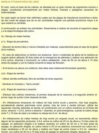 MANEJO FITOSANITARIO DEL MAIZ  El maíz, como el resto de los cultivos, es afectado por un gran número de organismos nocivos o plagas, constituidos principalmente por malas hierbas, insectos y patógenos causantes de enfermedades. En cada región se tienen bien definidas cuales son las plagas de importancia económica o dicho de otro modo las plagas que de no ser controladas originan una pérdida económica mayor a lo que costaría su combate. A continuación se enlistan las actividades  fitosanitarias a realizar de acuerdo al organismo plaga y a la etapa fenológica del cultivo. A).- Manejo de malas hierbas a.1).- Etapa de pre-siembra - Elección de terreno libre o menos infestado por malezas, especialmente para el caso de la gloria de la mañana. - En caso de seleccionar un terreno con presencia  (leve o moderada) de gloria de la mañana se sugiere aplicar glifosato 20 días antes de la emergencia de plántulas y realizar una aplicación de 2,4-d amina, dicamba o bromoxinil, en cultivo establecido  (más de 50 cm de altura ó 15 días antes de espigar) y con la maleza iniciando la etapa de floración. - Si el terreno se abona con estiércol, éste debe estar totalmente fermentado (podrido). a.2).- Etapa de siembra - Utilizar semilla certificada, libre de semillas de otras especies. - Sembrar en húmedo o  "tierra venida". a.3).- Etapa de nacencia a cosecha - Efectuar dos cultivos mecánicos, el primero después de la nacencia y el segundo anterior al  primer riego de auxilio o bien después de éste. - En infestaciones tempranas de maleza de hoja ancha anual y perenne, más hoja angosta, prevaleciendo plantas gramíneas como grama, cola de zorra y zacate johnson, utilizar las siguientes mezclas aplicadas en banda, en combinación con un cultivo mecánico en el fondo del surco: atrazina + 2,4-d, amina o atrazina + dicamba, en post-emergencia, cuando el cultivo tenga entre 7 y 15 días de edad y la maleza no rebase los 8 cm  de altura.  - En infestaciones de malas hierbas de hoja ancha y/o angosta anual, se recomienda utilizar alguno de los siguientes productos: 2,4-d, amina en cultivo de 20 cm de altura a 15 días antes de espigar, en aplicación dirigida a la maleza; dicamba, en cultivo de 30 cm a 15 días antes de espigar, en aplicación dirigida, en cultivo menor a 30 cm es selectivo; bromoxinil con cultivo de 3 hojas verdaderas a 50 cm de altura y maleza con hojas de ancho menor a 3.5 cm  selectivo; linurón, con cultivo de 30 cm a 15 días antes de espigar en aplicación dirigida, después de  