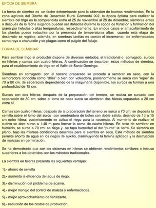 ÉPOCA DE SIEMBRA   La fecha de siembra es  un factor determinante para la obtención de buenos rendimientos. En la zona agrícola del Distrito de Desarrollo Rural Comondú 002, la época óptima para realizar la siembra del trigo es la comprendida entre el 25 de noviembre al 25 de diciembre; siembras antes o después de la fecha sugerida pueden ser dañadas durante la época de floración y formación del grano por heladas o altas temperaturas, respectivamente. En ambos casos el amacollamiento de las plantas puede reducirse por la presencia de temperaturas altas  cuando esta etapa de desarrollo se registra; además, en siembras tardías es común el incremento  de enfermedades como roya o chahuixtle y de plagas como el pulgón del follaje. FORMA DE SEMBRAR Para sembrar trigo el productor dispone de diversos métodos; el tradicional o  corrugado, surcos en hileras y camas con cuatro hileras. A continuación se describen estos métodos de siembra, para el establecimiento de trigo en el Valle de Santo Domingo. Siembras en corrugado: con el terreno preparado se procede a sembrar en seco, con la sembradora conocida como “drilla” o bien con voleadora, posteriormente se surca con “rejas” de 70 a 80 cm. de separación dependiendo de la maquinaria disponible, los surcos se forman a una profundidad de 15 cm. Surcos con dos hileras: después de la preparación del terreno, se realiza un surcado con separación de 80 cm; sobre el lomo de cada surco se siembran dos hileras separadas a 20 cm entre sí. Camas con cuatro hileras: después de la preparación del terreno se surca a 70 cm, se deposita la semilla sobre el lomo del surco  con sembradora de botes con doble salida, dejando de 13 a 15 cm entre hilera; posteriormente se aplica el riego para la nacencia. Al momento de realizar el cultivo se abre surco a 1.40 m para formar la cama de cuatro hileras. En caso de sembrar en húmedo, se surca a 70 cm, se riega y  se tapa humedad al dar "punto" la tierra. Se siembra en plano, bajo las mismas condiciones descritas para la siembra en seco. Este método de siembra permite ahorro de agua en los riegos de auxilio, disminuyendo la lámina aplicada y la destrucción de malezas en germinación. Se ha demostrado que con los sistemas en hileras se obtienen rendimientos similares e incluso superiores a los obtenidos con los métodos tradicionales. La siembra en hileras presenta las siguientes ventajas: 1).- ahorro de semilla 2).- aumenta la eficiencia del agua de riego. 3).- disminución del problema de acame. 4).- mejor manejo del control de maleza y enfermedades. 5).- mejor aprovechamiento de fertilizante. 6).- reducción de los costos de producción. 