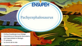 Pachycephalosaurus
• Cinthya Guadalupe luna Hidalgo
• Licenciatura en Educación Secundaria
con Especialidad en Biología
• 3° semestre
• La ciencia de la vida
 