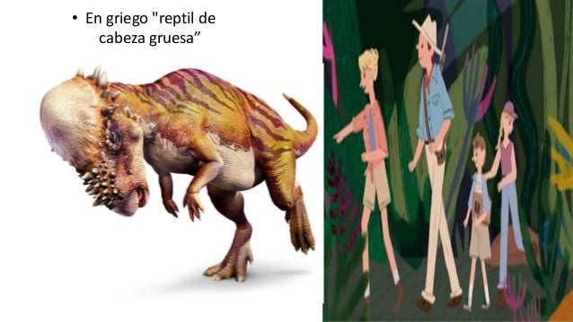 Paquicefalosaurio