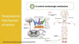 Paracetamol:
Mechanism
of action
A central serotonergic mechanism
https://nba.uth.tmc.edu/neuroscience/m/s2/chapter08.html
 