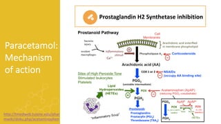 Paracetamol:
Mechanism
of action
Prostaglandin H2 Synthetase inhibition
http://tmedweb.tulane.edu/phar
mwiki/doku.php/acetaminophen
 