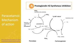 Paracetamol:
Mechanism
of action
Prostaglandin H2 Synthetase inhibition
http://tmedweb.tulane.edu/phar
mwiki/doku.php/acetaminophen
 